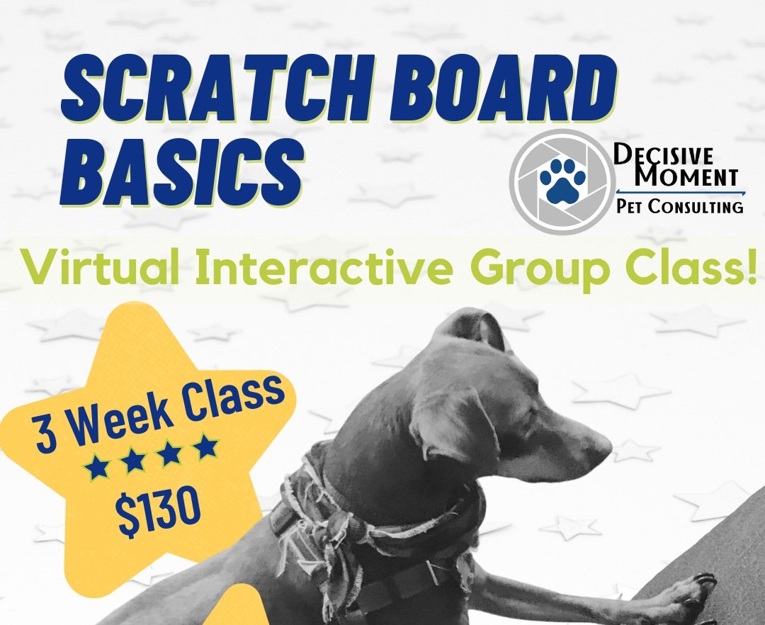 Scratch Board Basics