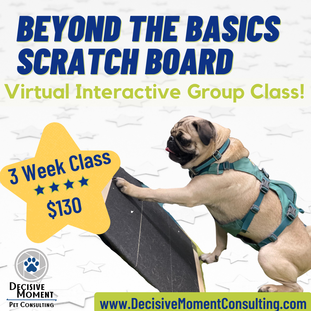Scratch Board - Beyond the Basics