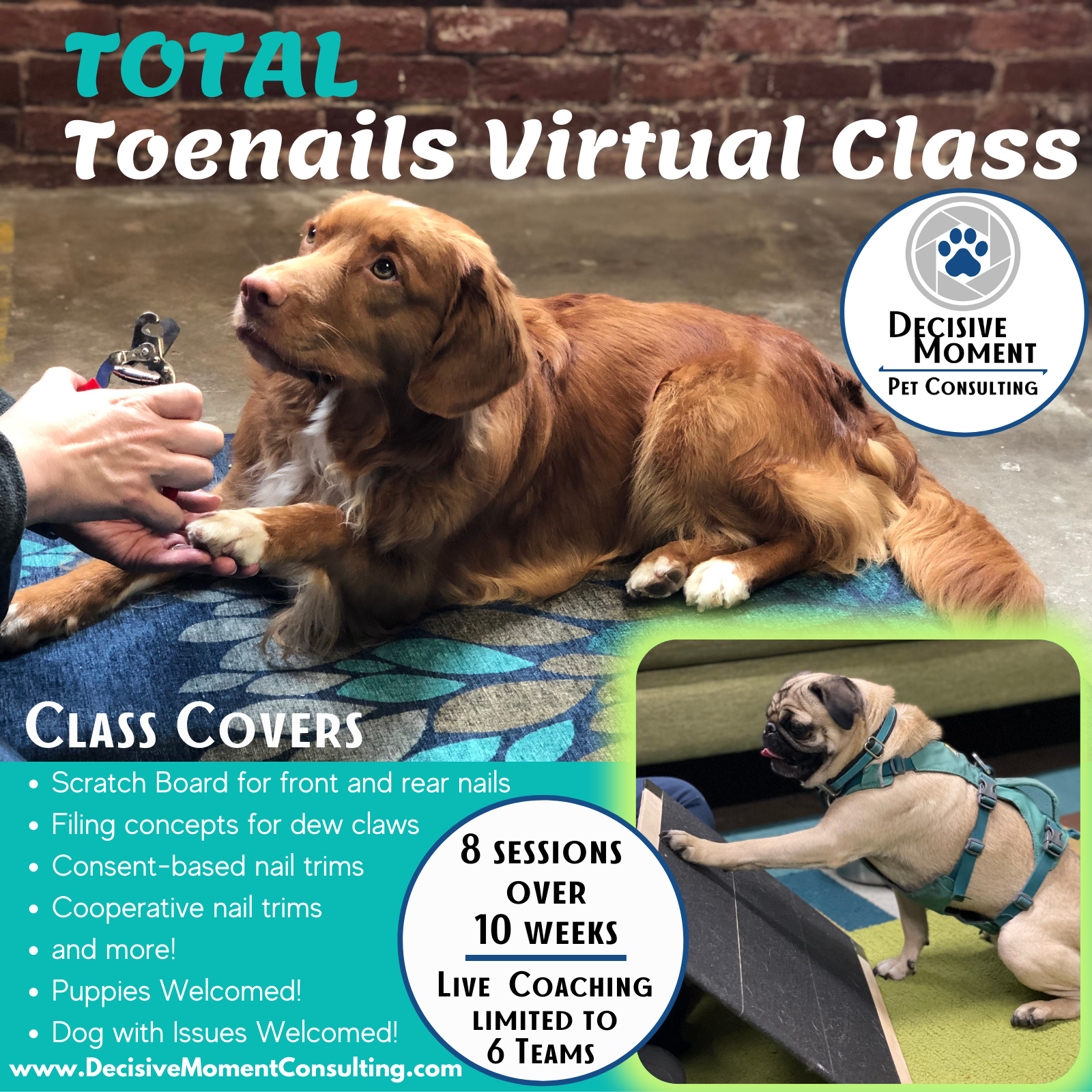 TOTAL Toenails Virtual Class