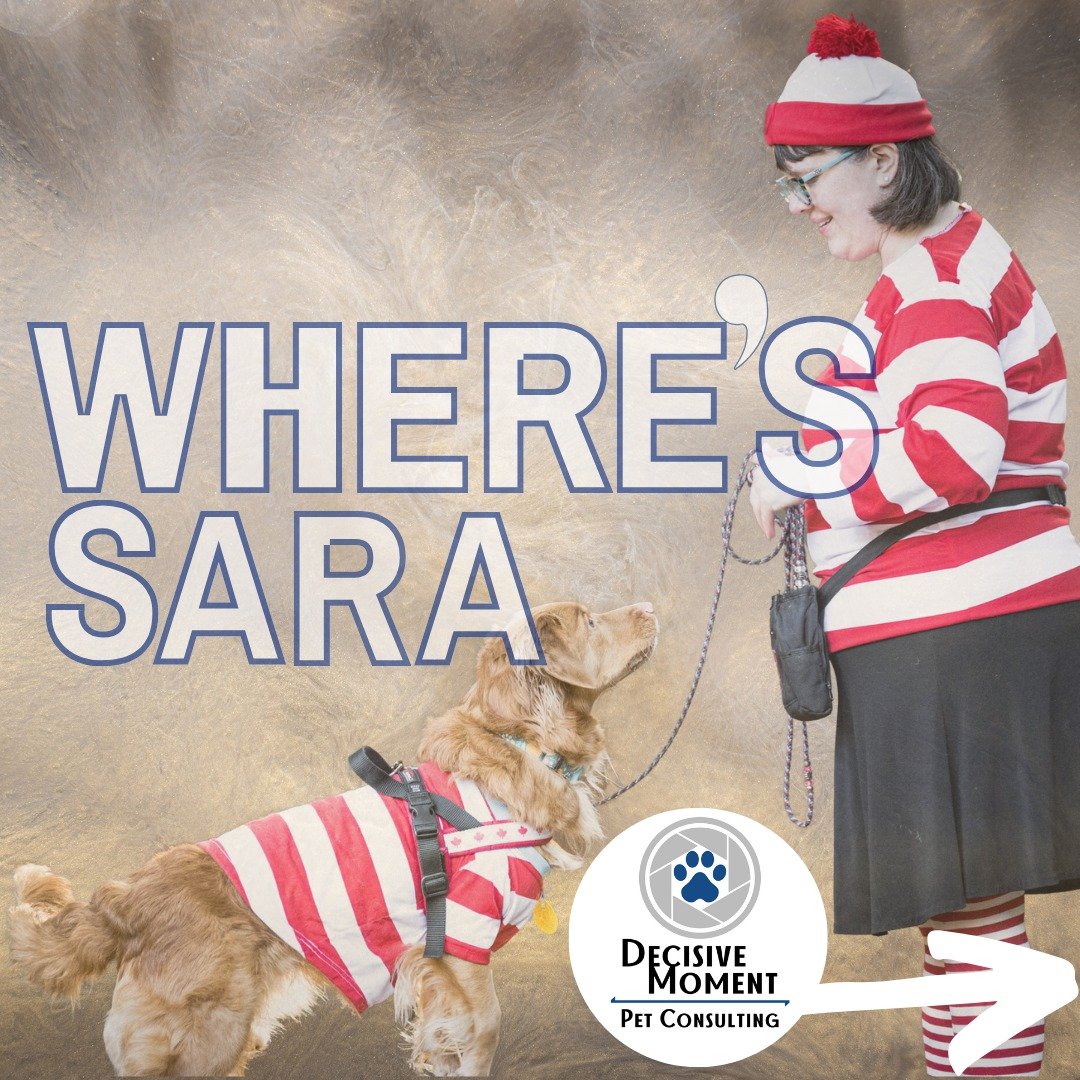 Where has Sara and Decisive Moment been?!!?

2024 has been a tumultuous year. In May, it took a very unexpected turn. 

I was hospitalized with a Reversible Cerebral Vasoconstriction Syndrome (RCVS) event that resulted in a subarachnoid hemorrhage br