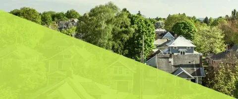 NS 480 x 200.012.jpeg