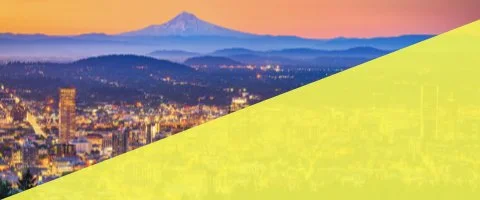 NS 480 x 200.001.jpeg