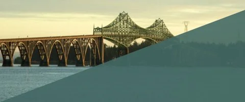 NS 480 x 200.003.jpeg