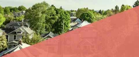 NS 480 x 200.005.jpeg