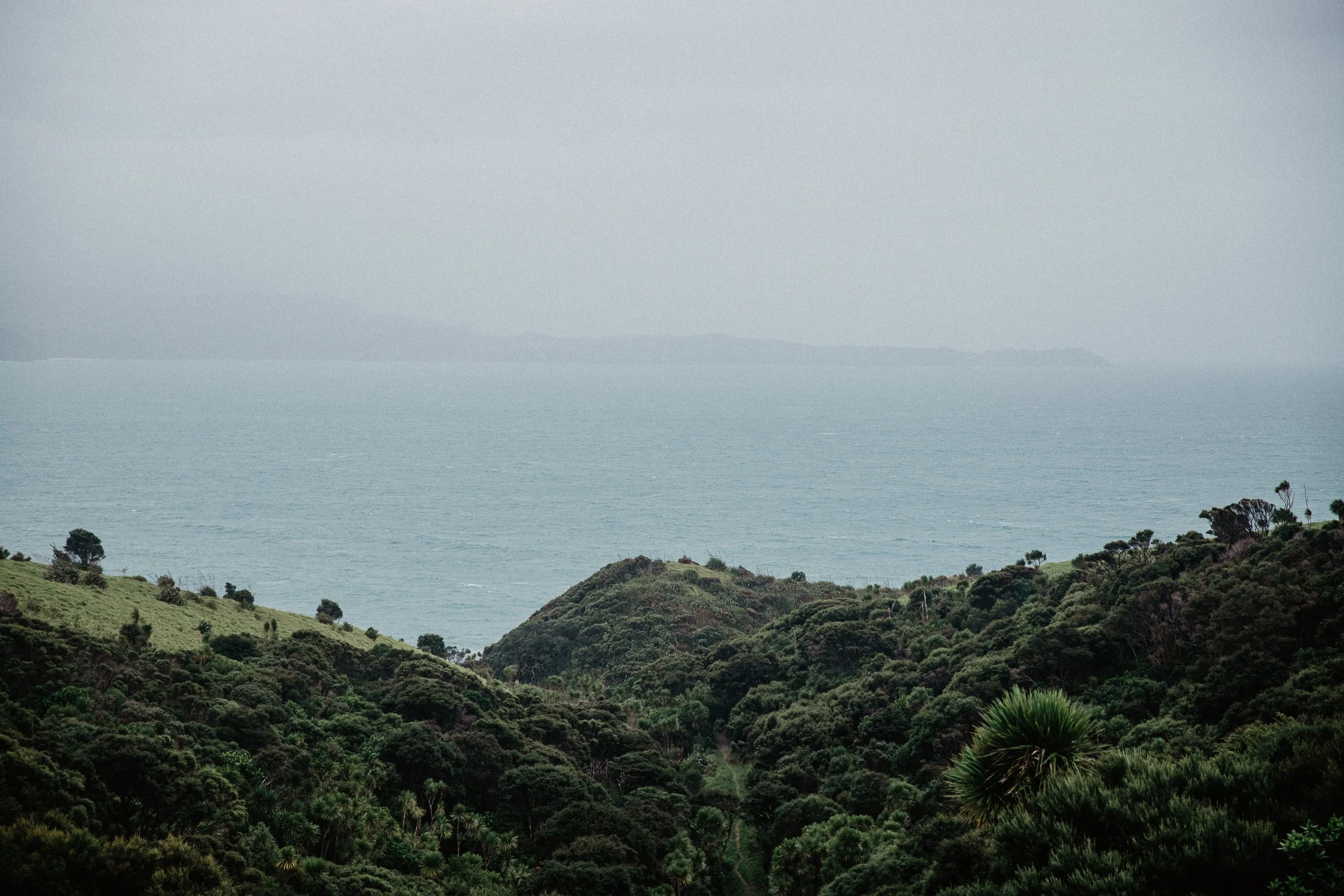 Aotearoa-503.jpg