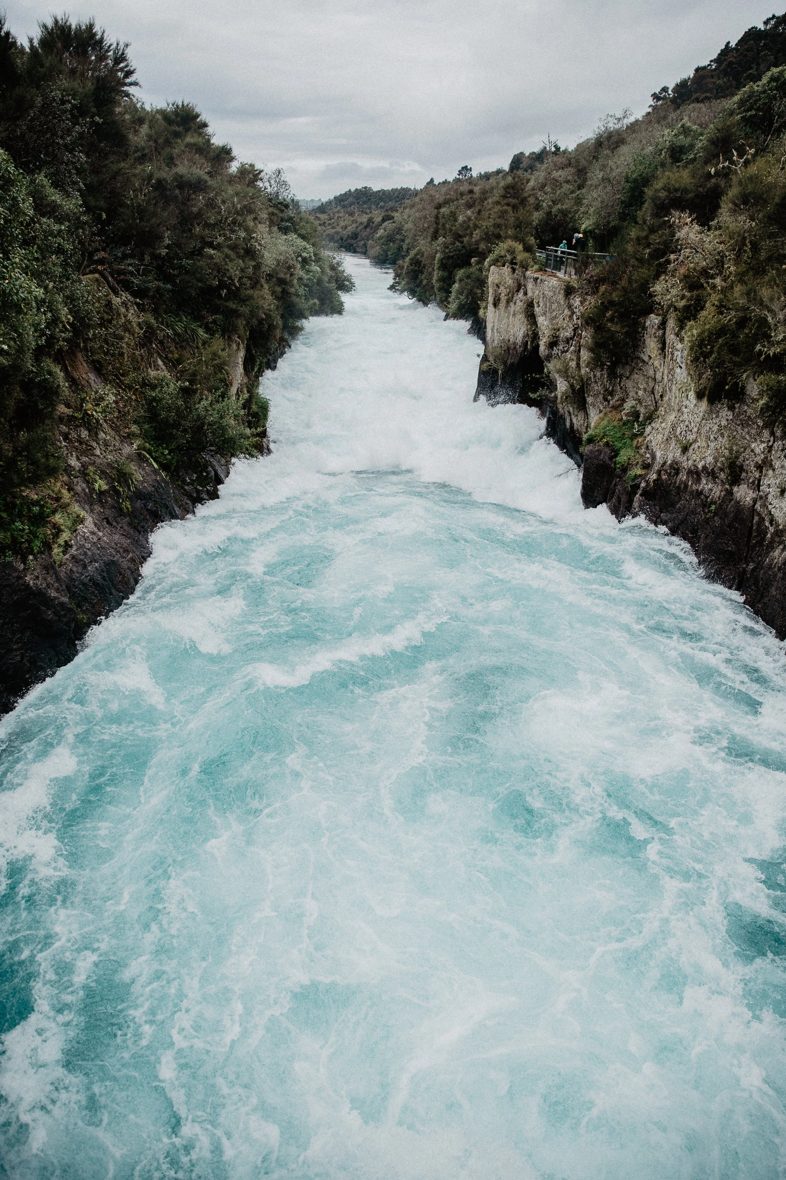 Aotearoa-481.jpg