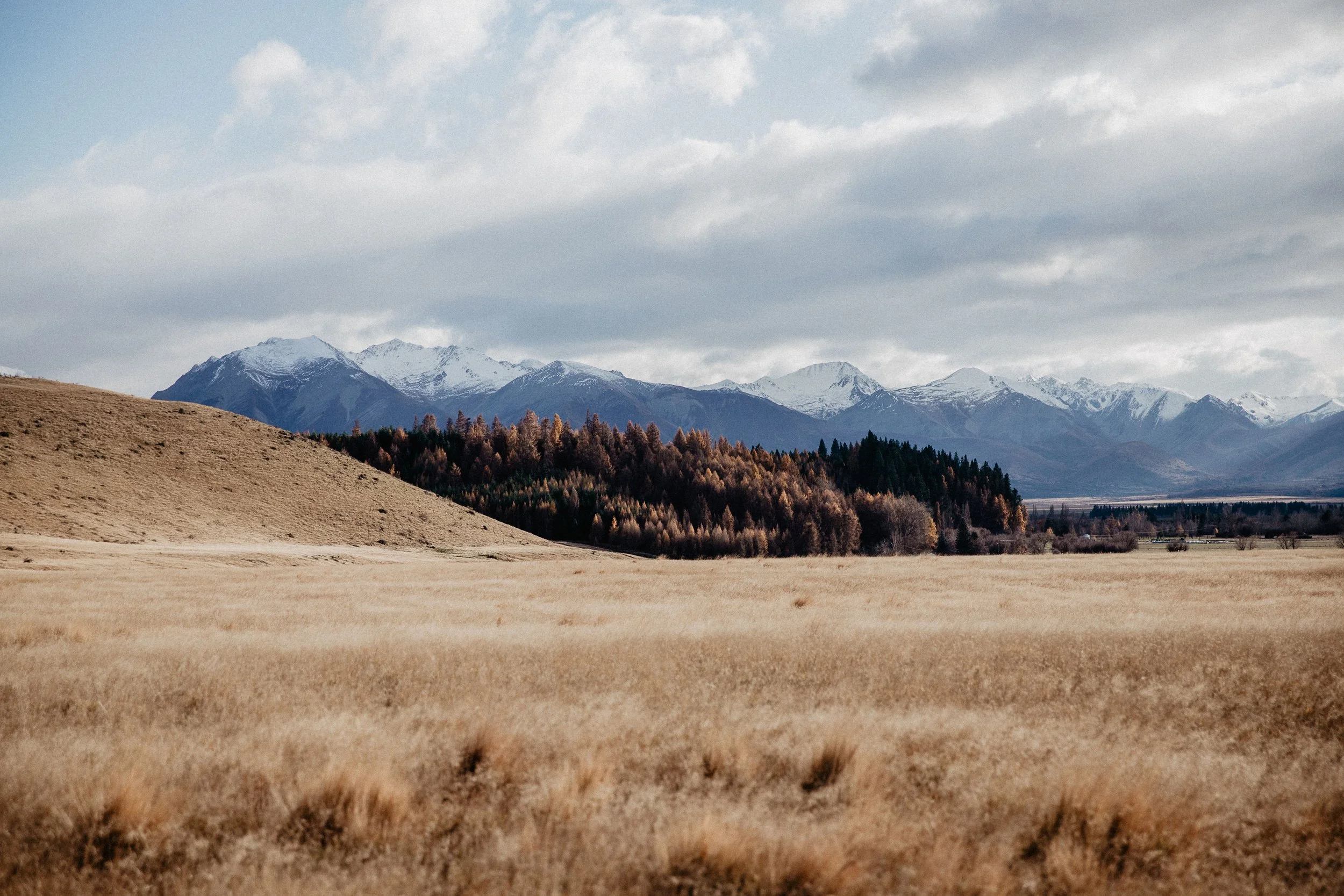 Aotearoa-562.jpg