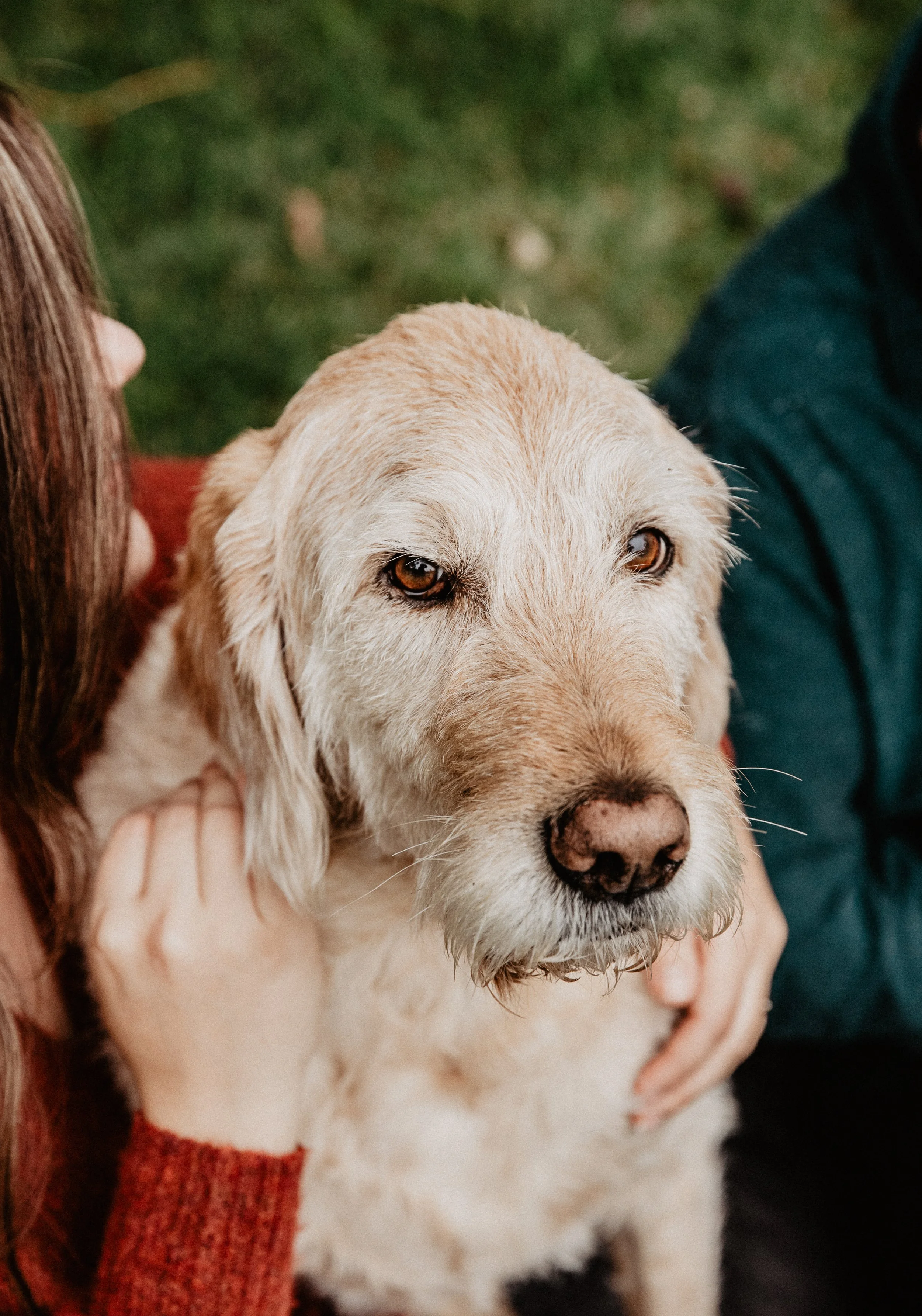 Scarff Family-30.jpg