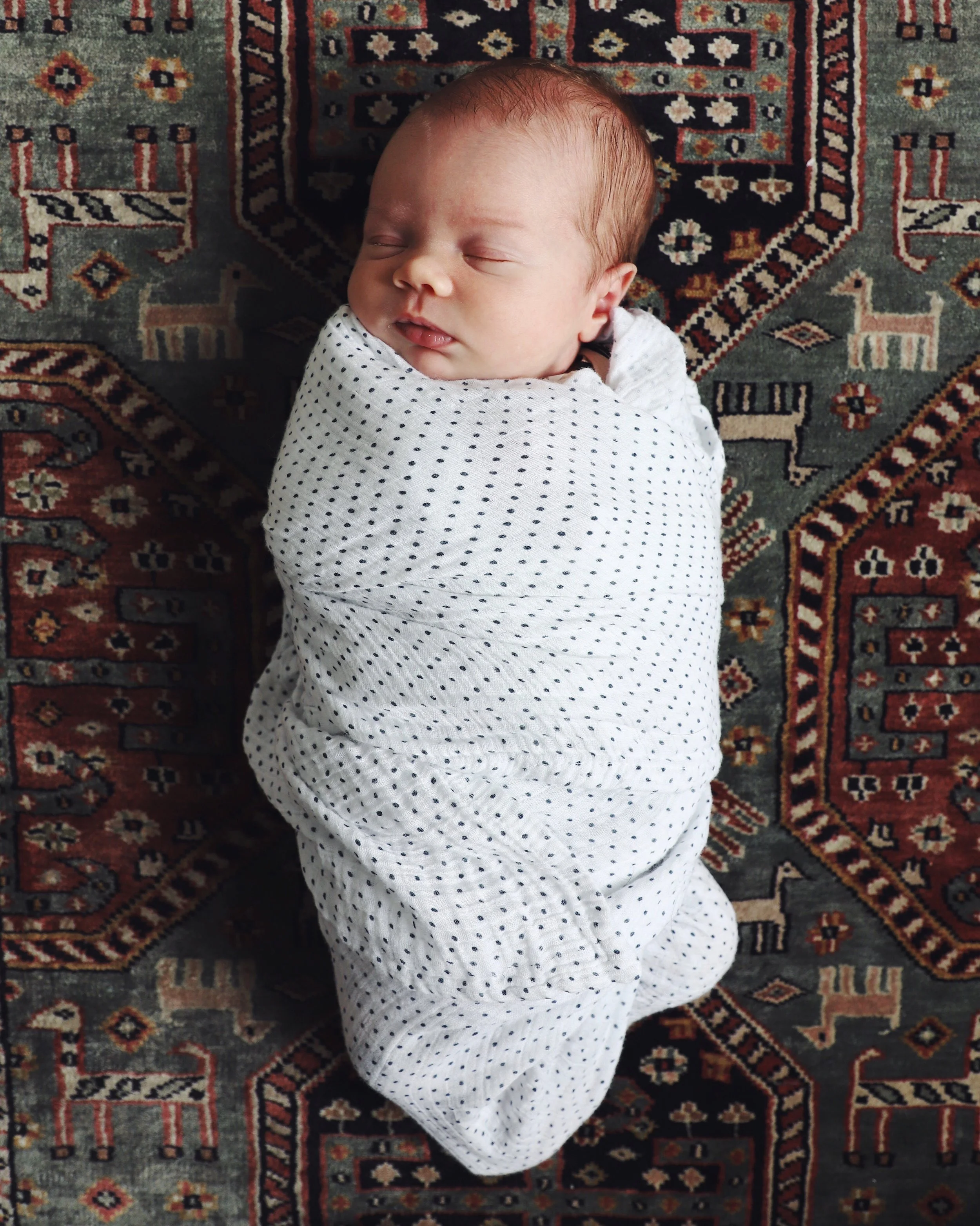 E13E987A-1B92-43FA-B4B1-2A48354298FC 2.JPG