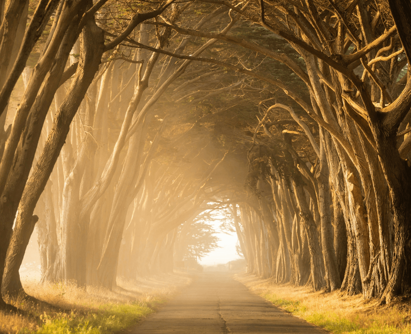 The Heart of Brand Storytelling: Why Purpose, Not Persuasion, Converts Best