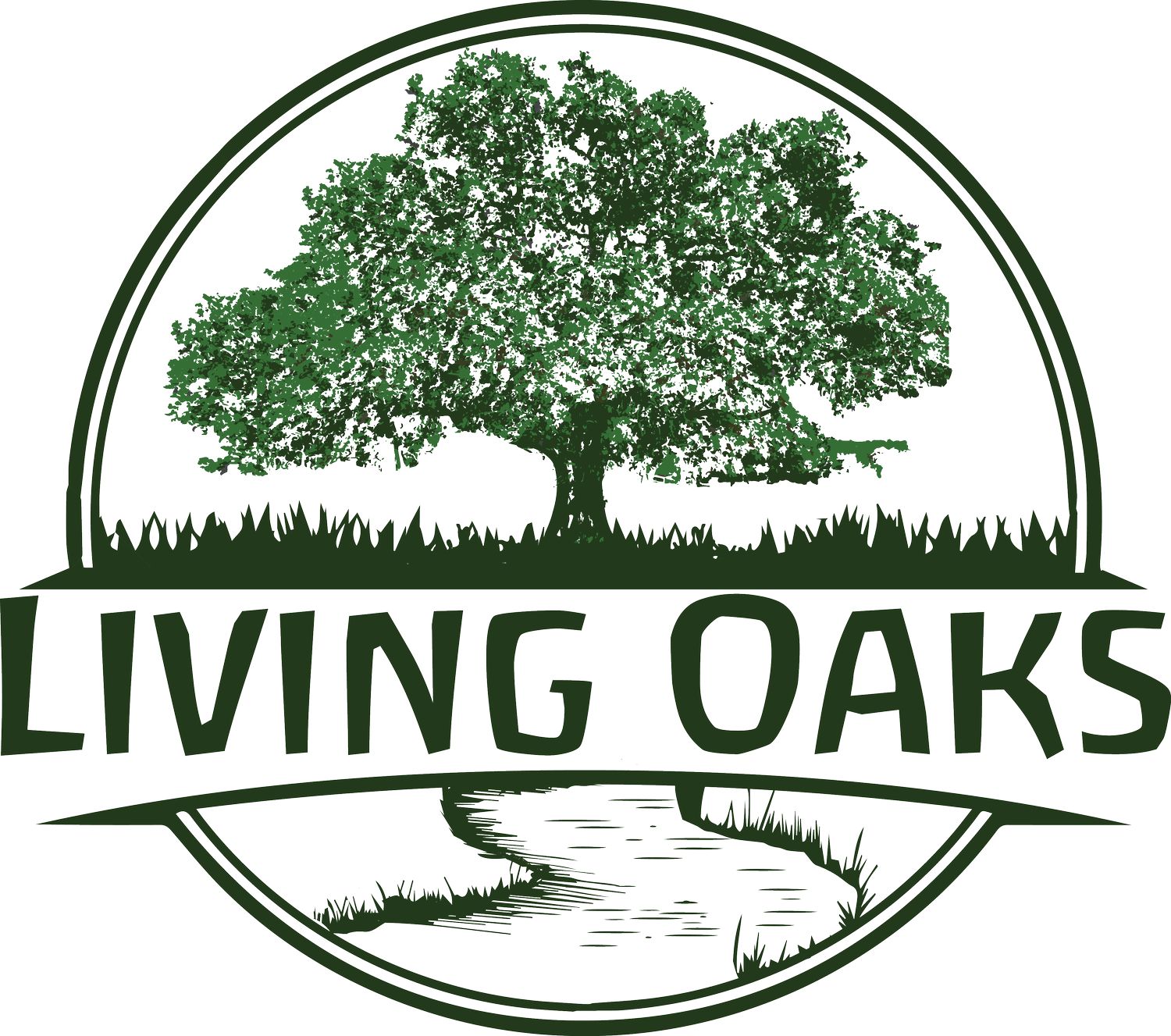 Living Oaks