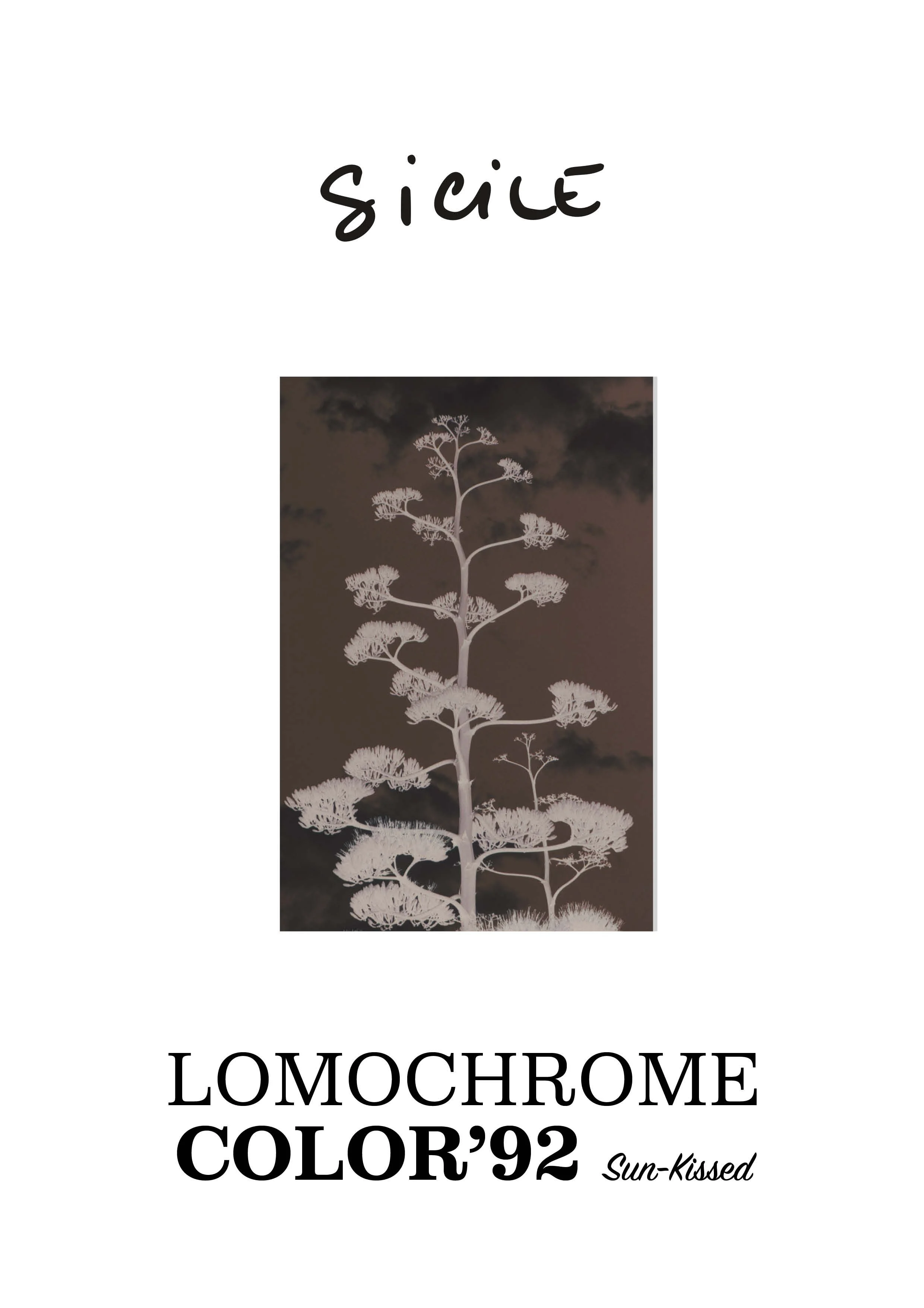 V2 - EDITO SICILE - LOMO 92.jpg