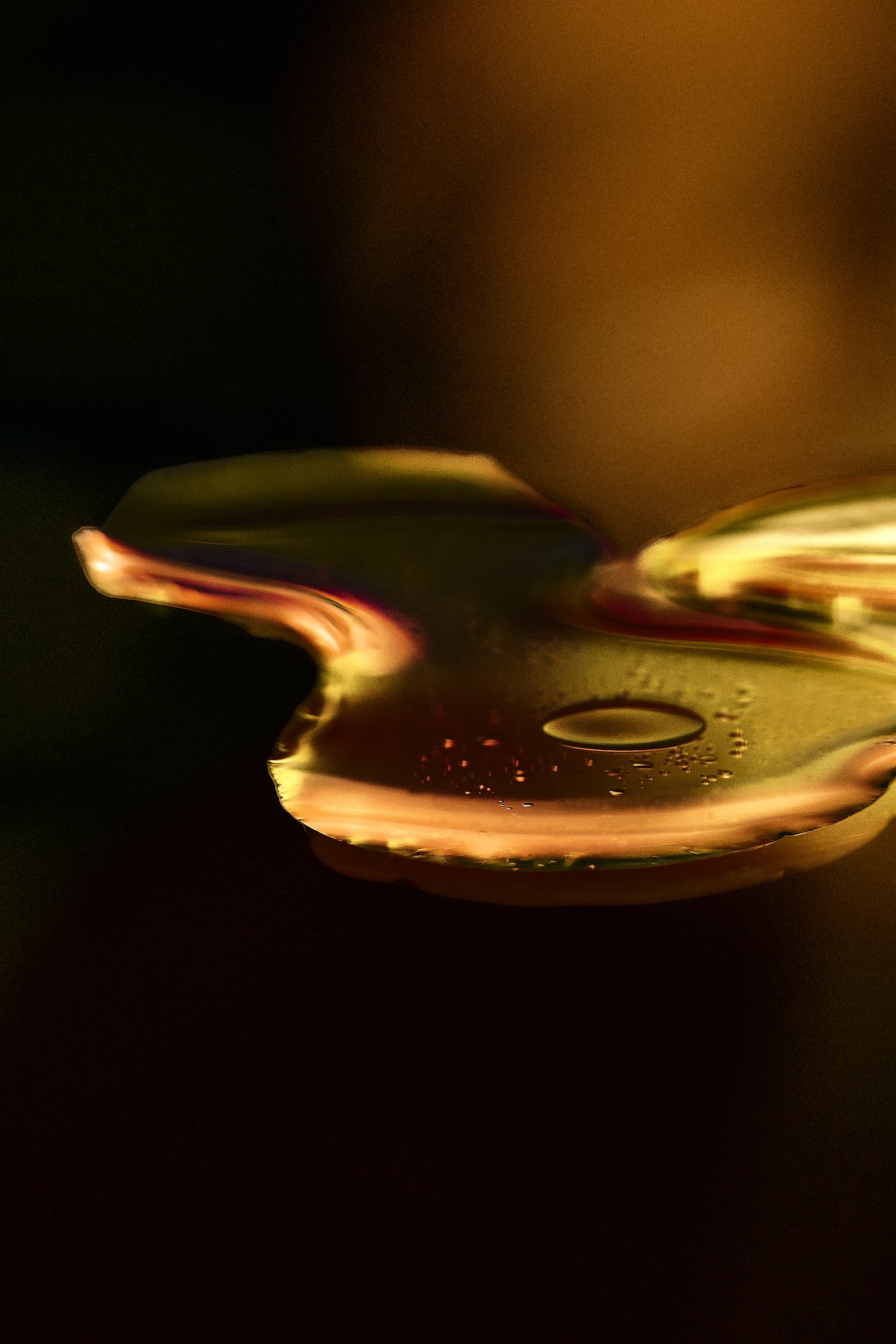 2025 01 10 - TEST IPSUM ALII 24392 1 1.jpg