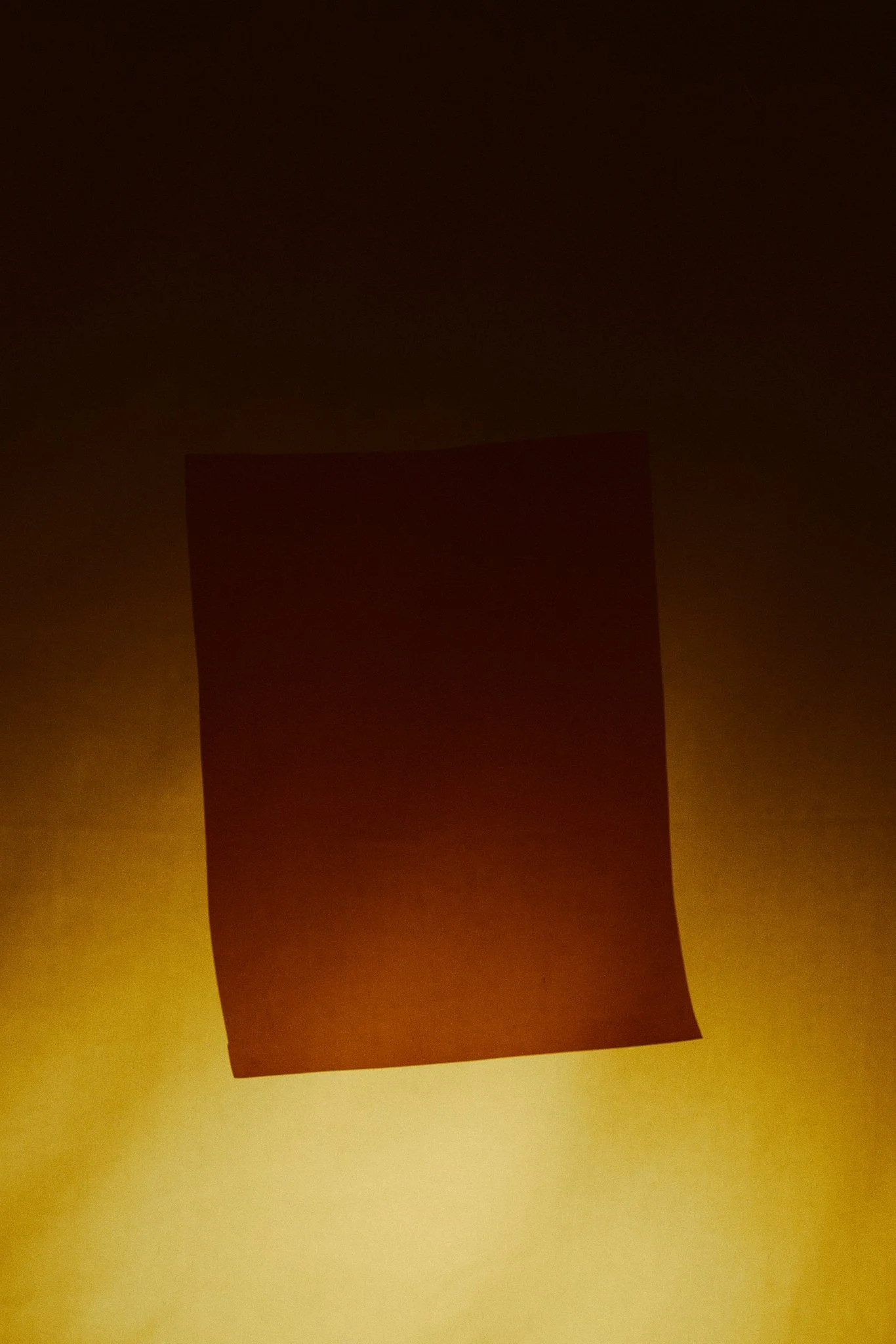 2025 01 10 - TEST IPSUM ALII 24202.jpg