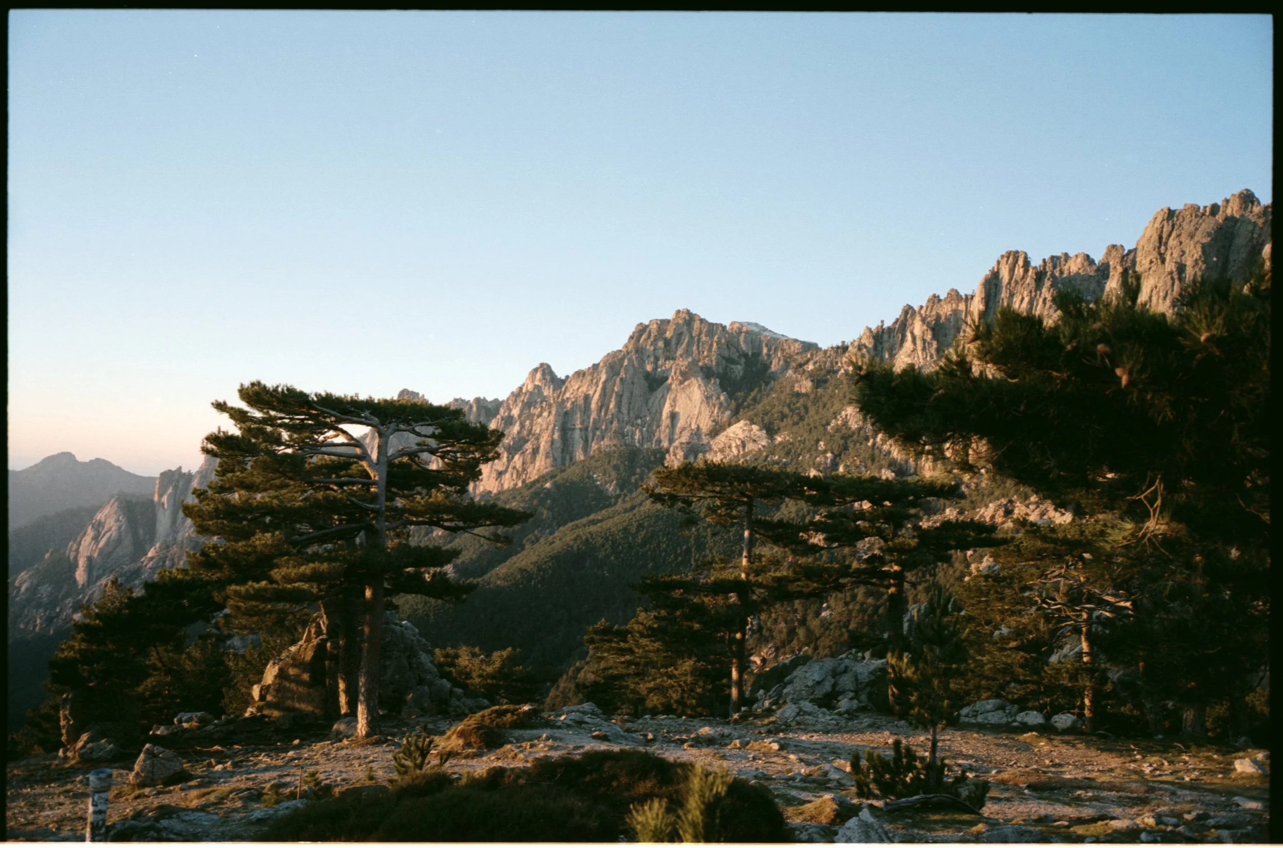 Paysage de montagne avec des arbres et des rochers, éclairé par la lumière du soleil au coucher ou lever du soleil.
