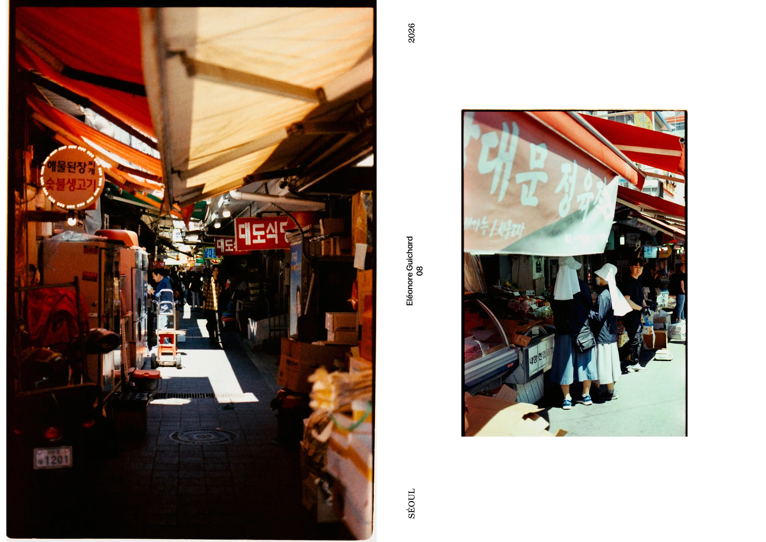 EDITO LOMOGRAPHY SEOUL - CLASSICOLOR 2008.jpg