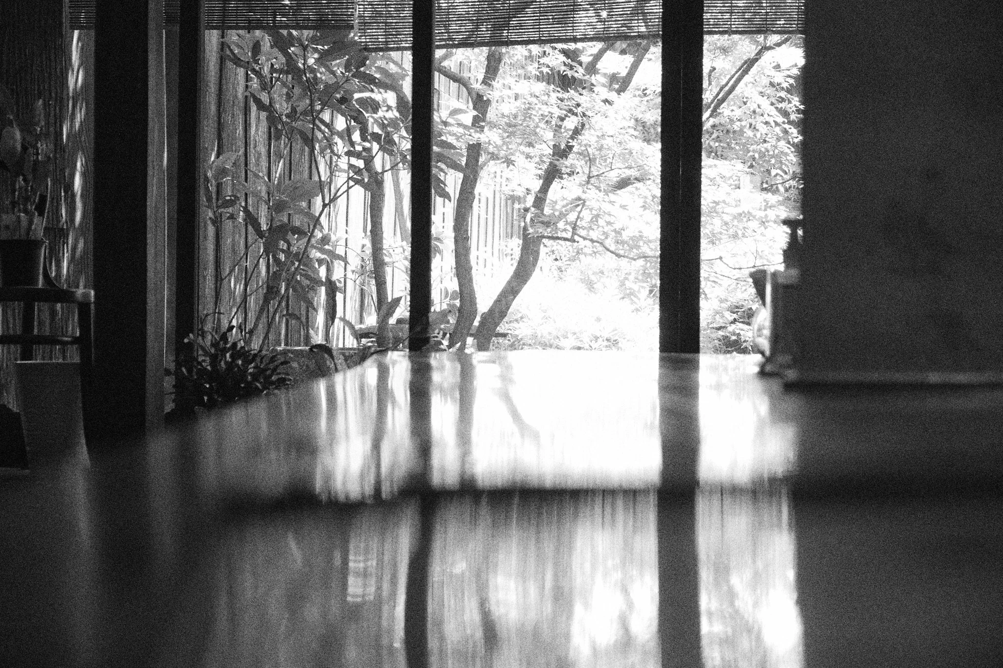 DSCF0839.jpg