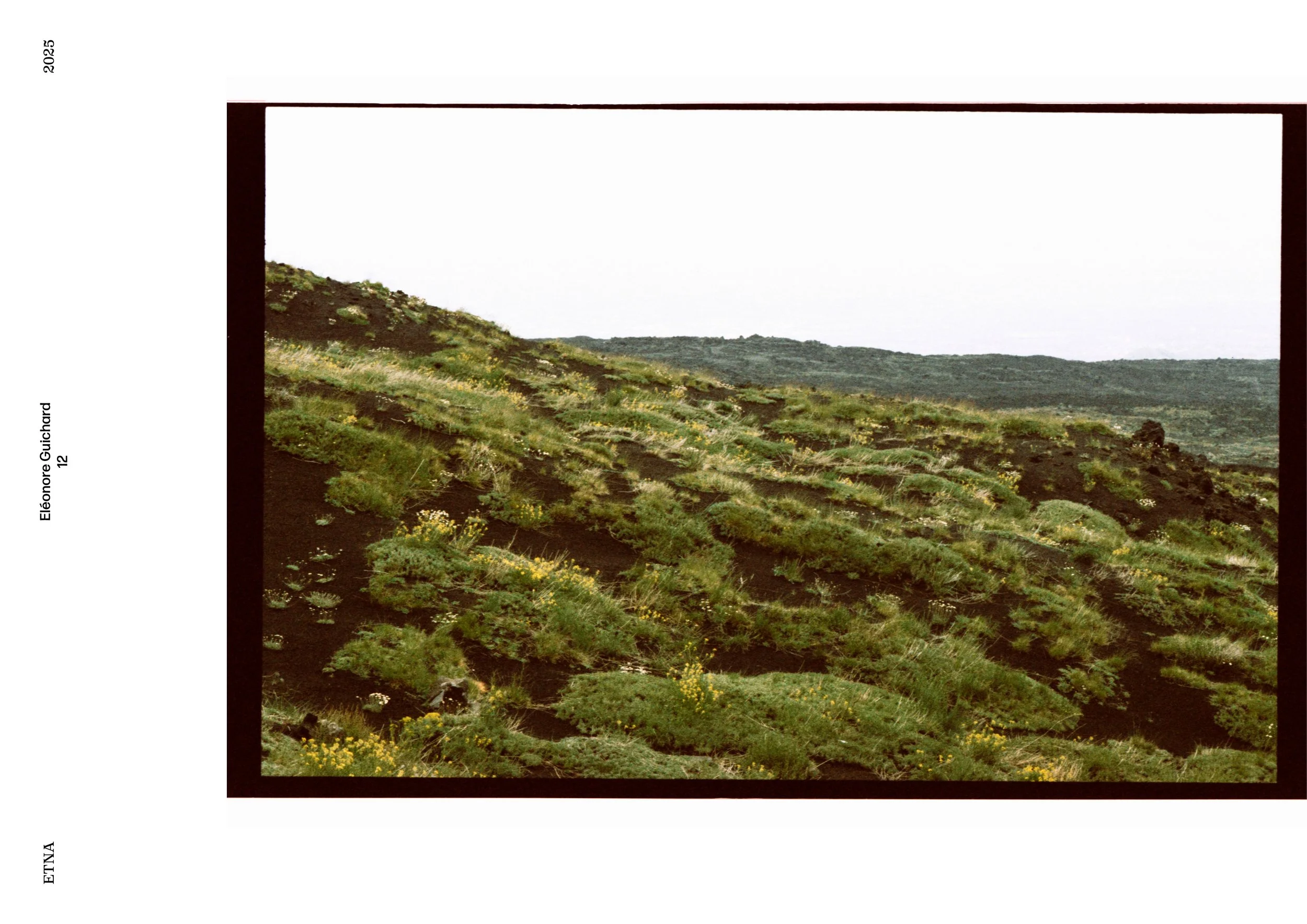 EDITO SICILE - LOMO 9210.jpg