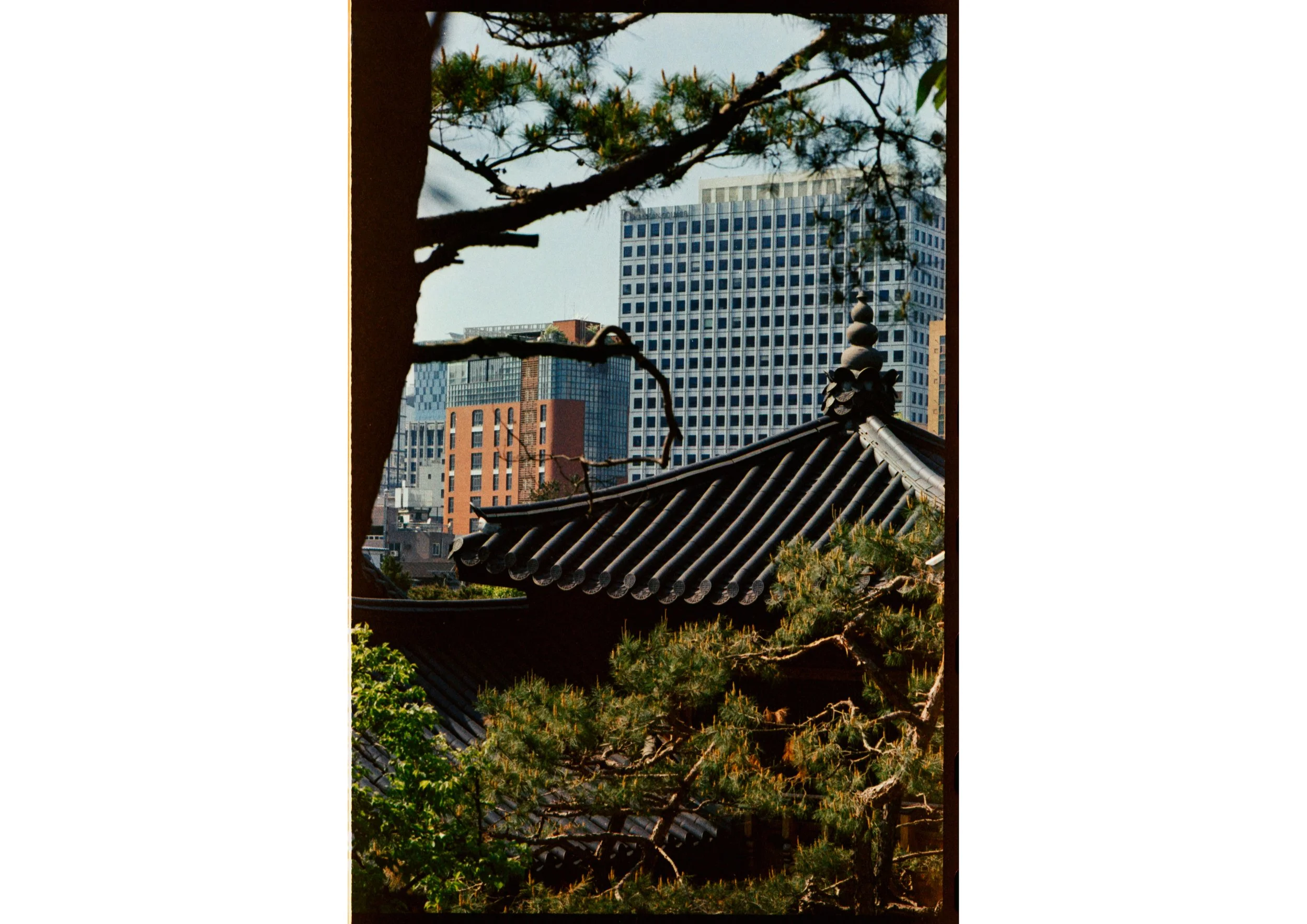 EDITO LOMOGRAPHY SEOUL - CLASSICOLOR 2009.jpg