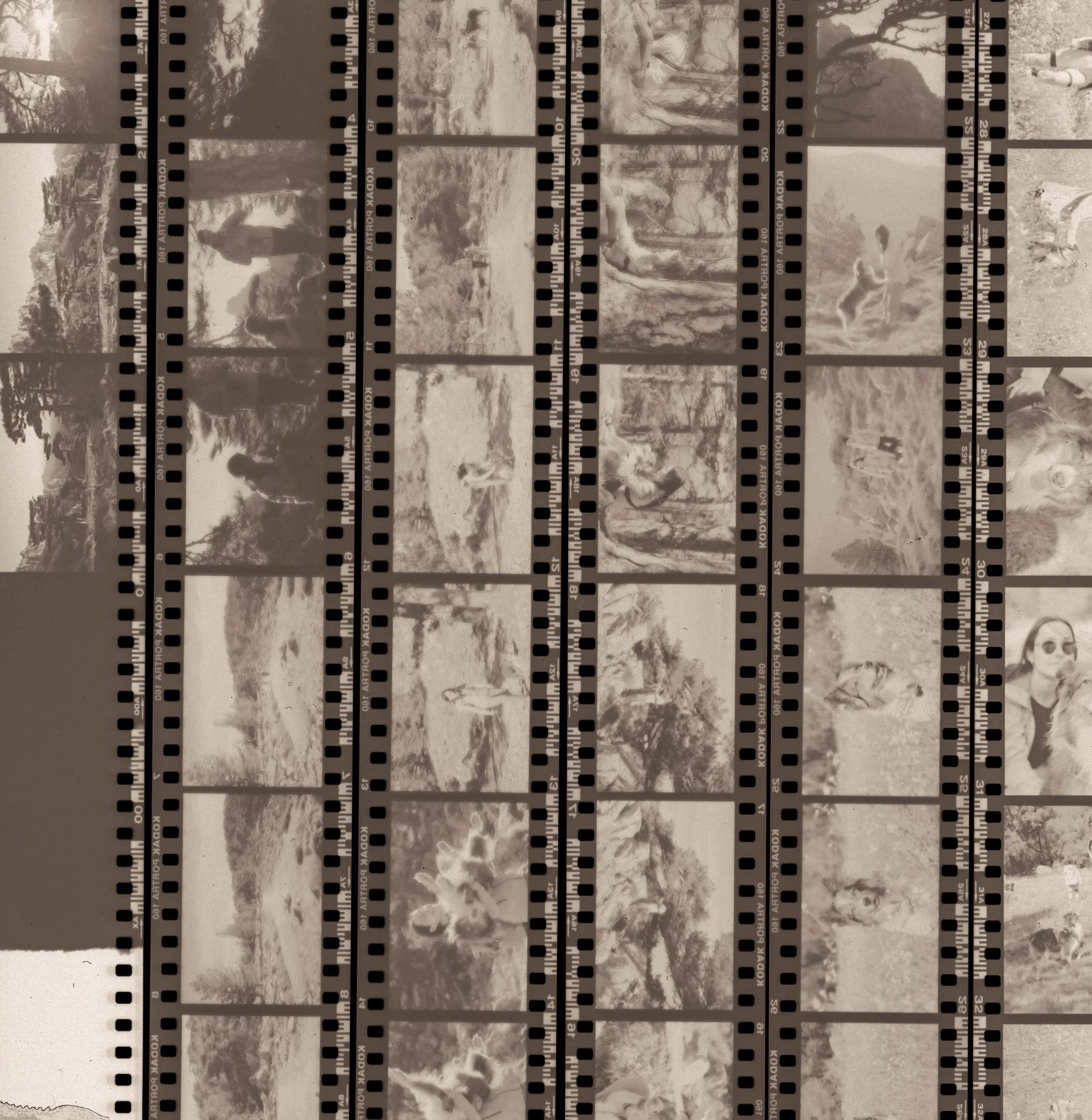 Une bande de film montrant plusieurs photos de personnes en plein air, notamment des enfants et des adultes, durant différentes activités.