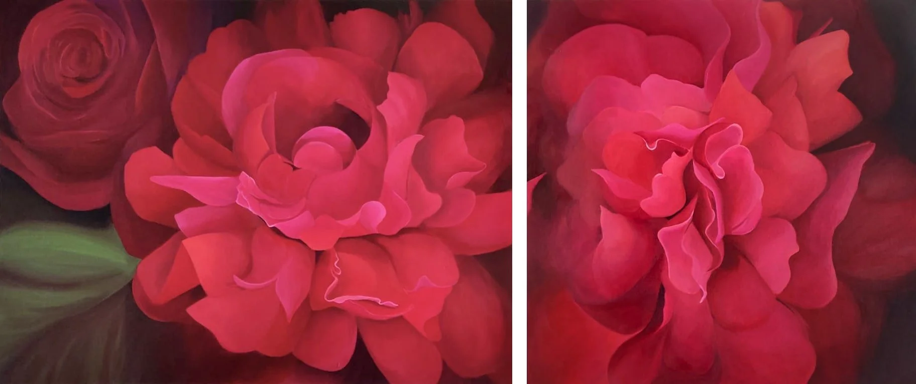 Peony Diptych #1   Acrylic on canvas   36x48 + 36x36 in. $1200