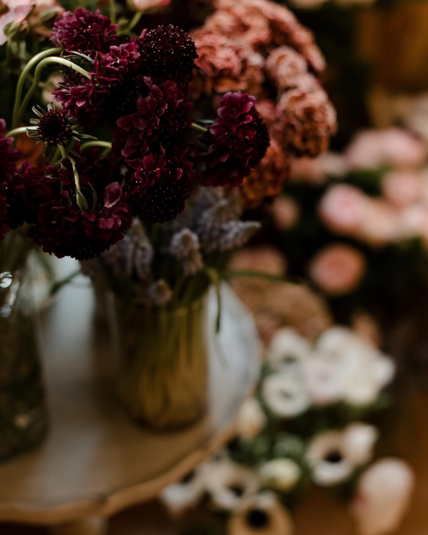 Workshops are back for 2023 🕯🍂🙌🏽 

Bridal Blessings Ceremony - Make Fresh Flower Crowns |

The Ceremony

Bridal Blessings Ceremony - an alternative to a bridal shower. 

This a beautiful ceremony to honour the bride as she enters a new chapter of