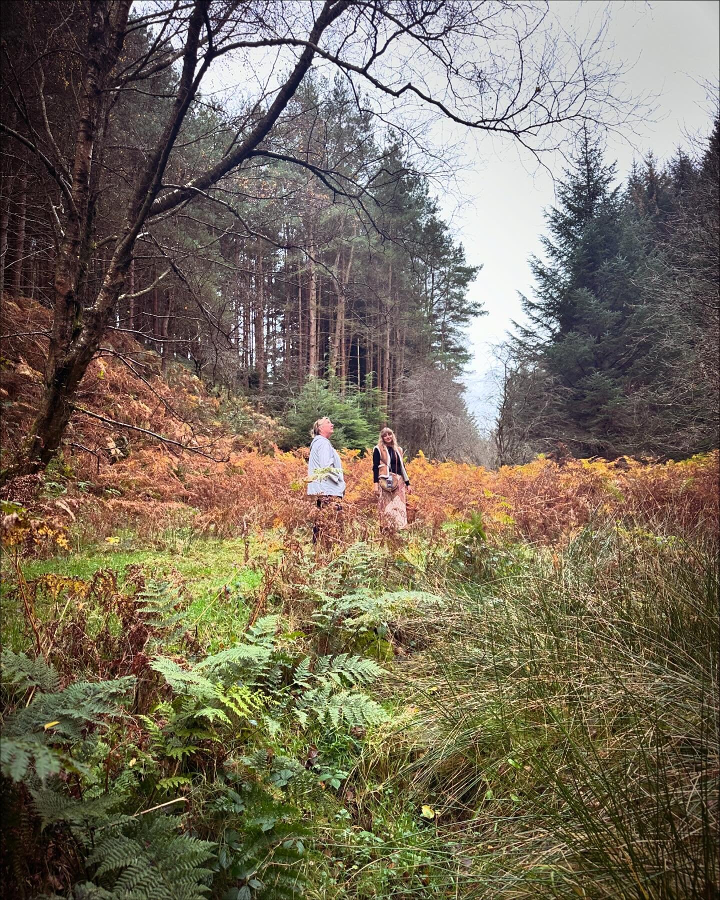 Woodland walks 🧚🏼🍄&zwj;🟫