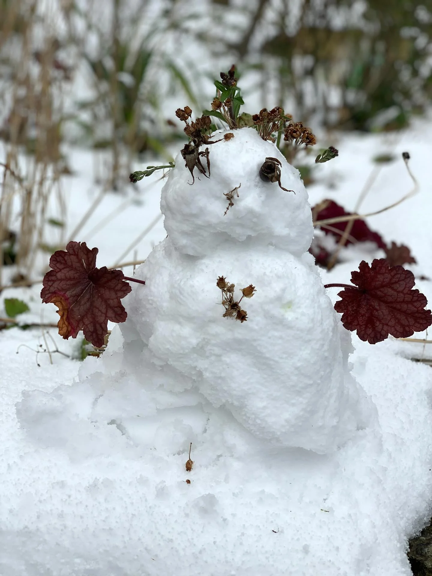 CHRISTMAS GIFT VOUCHERS 🎁💌 

Give the gift of a break in Whitby. Our accommodation gift vouchers can be made out for any value and posted directly to you.
To arrange one, simply let us know the amount you&rsquo;d like, along with your postal addres