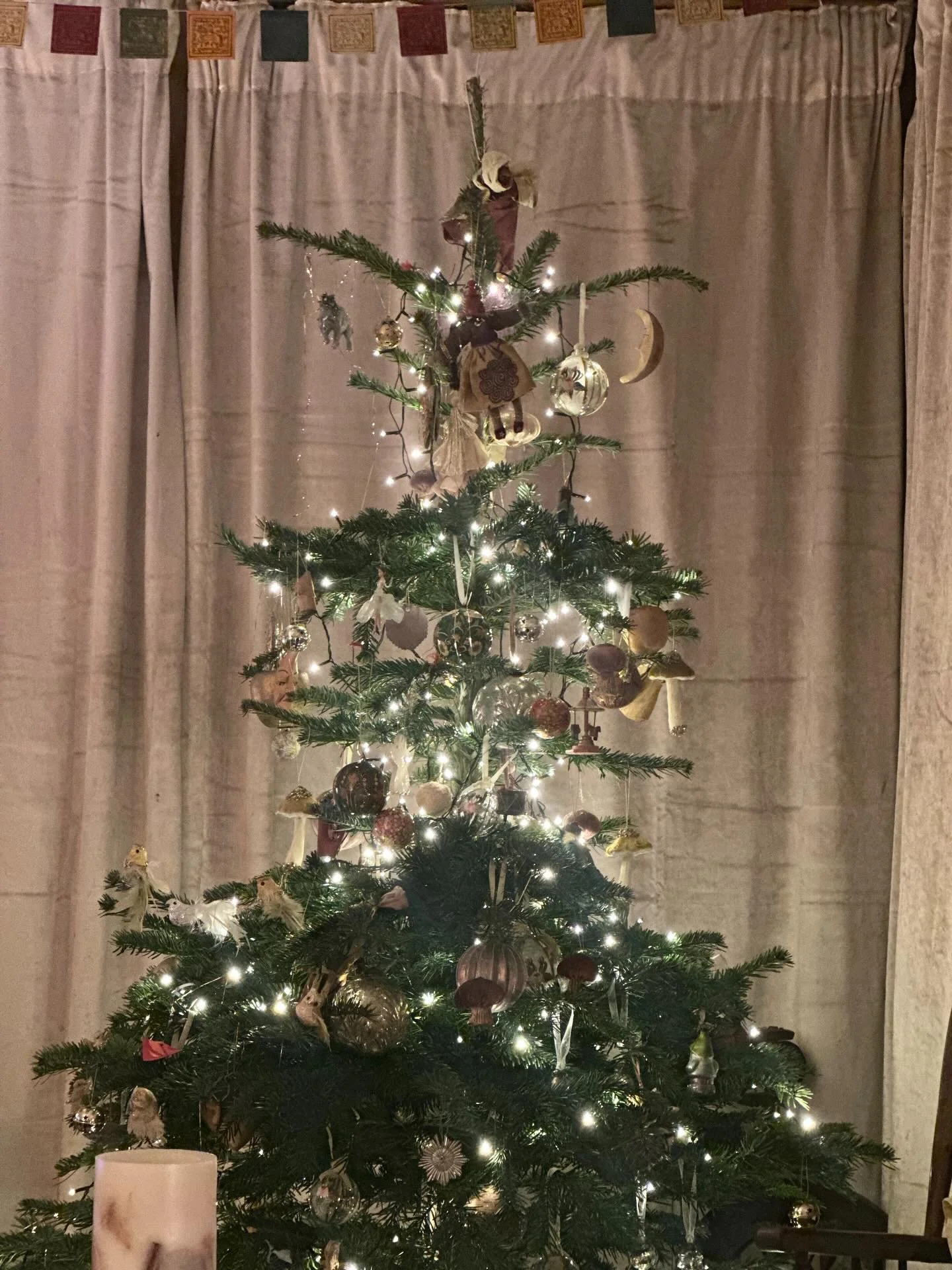 Have a very Merry &amp; Magical Christmas 🎄

Thank you to all our wonderful guests and we will see you again in 2026. 

Warm Wishes 
Michelle, Sophie &amp; Kim