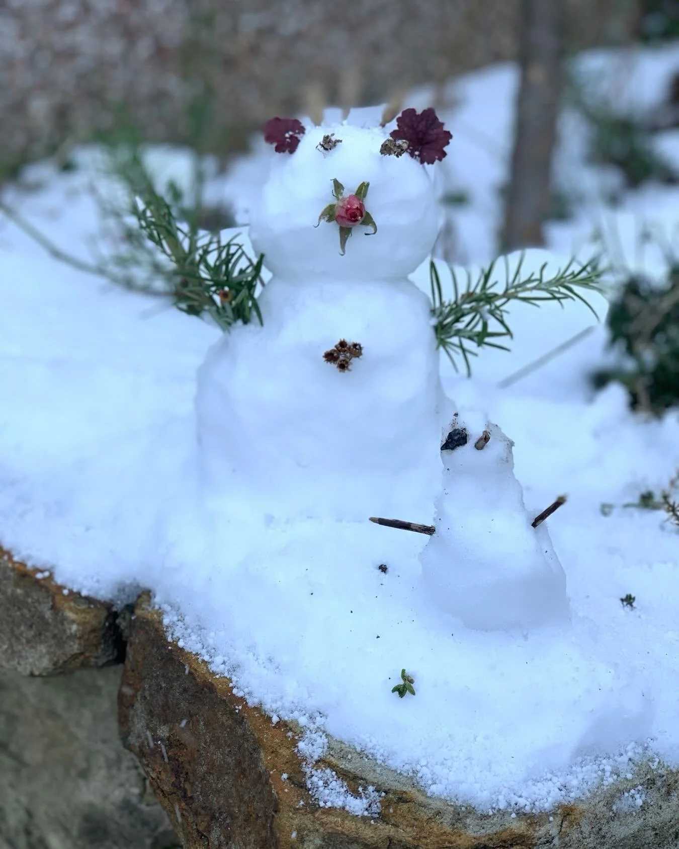 One nights available via our website for this coming weekend. All Rooms &pound;90.