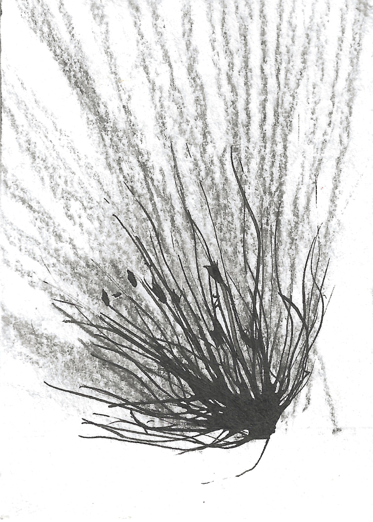ATCS (6)2.png