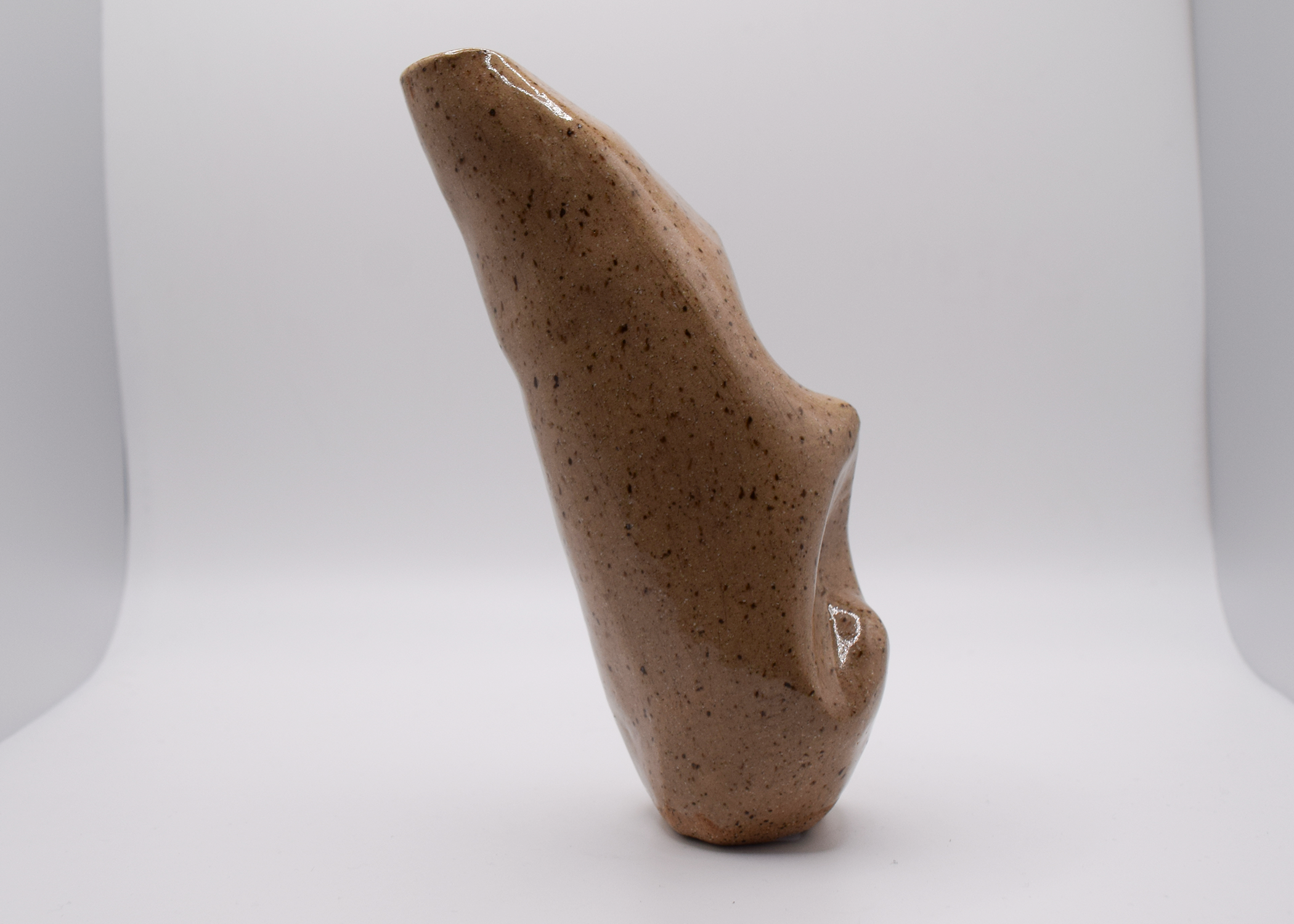 cloacic_side_2.png