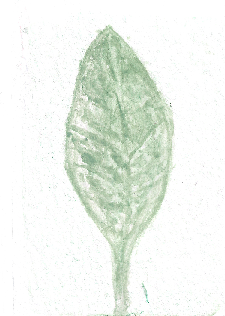 ATCS (8).png