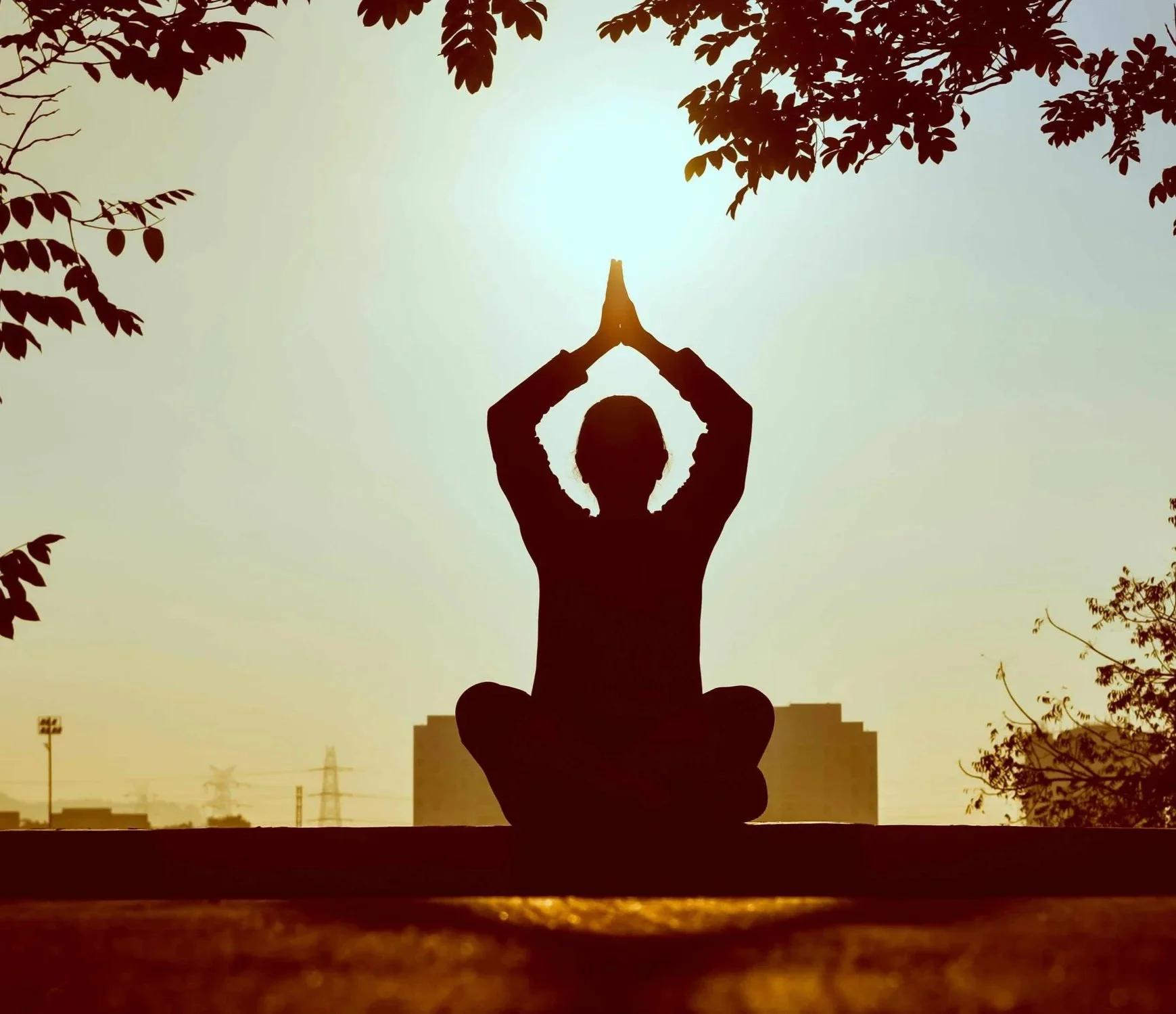 PM Mindfulness Meditation