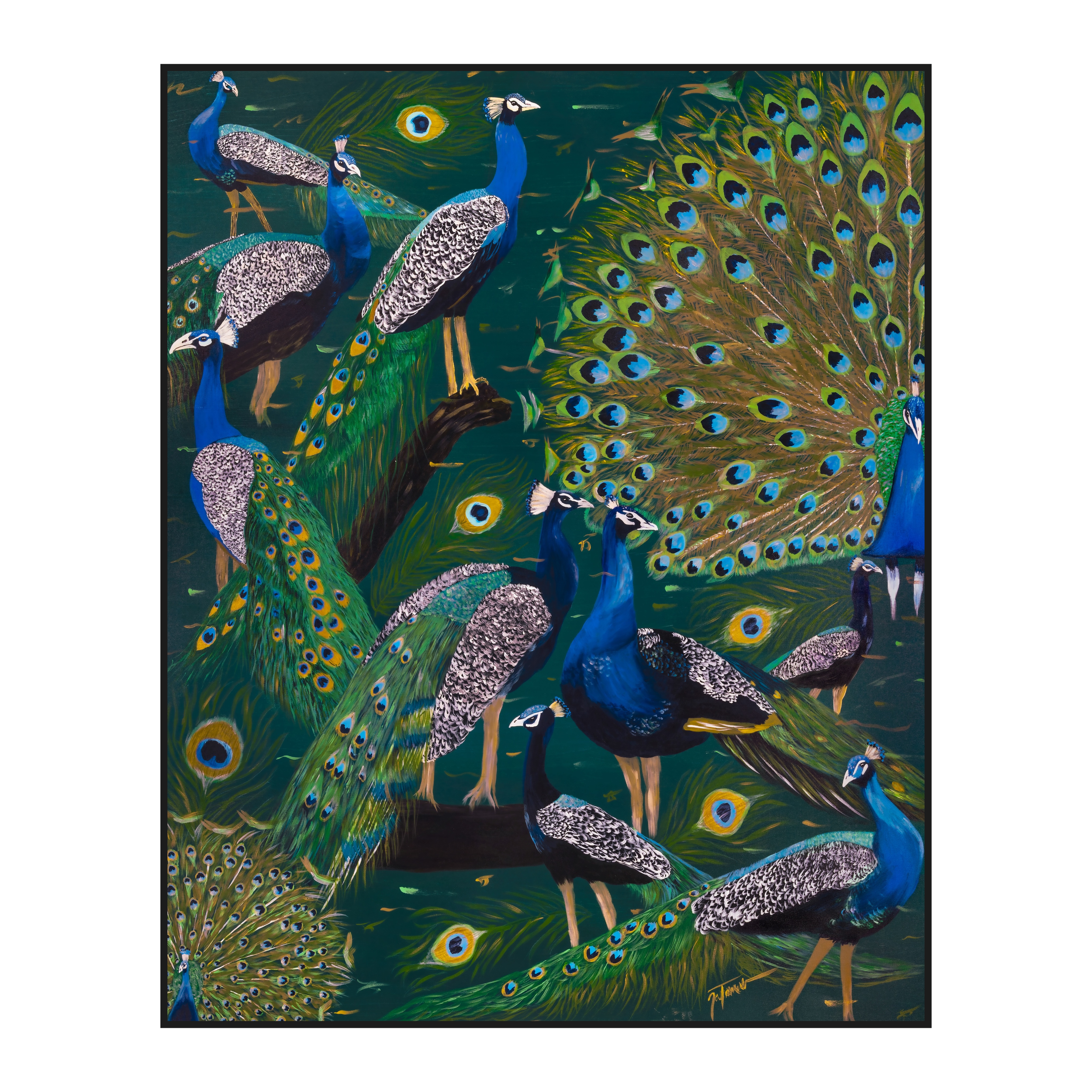Flaunting Flock | Original Painting
