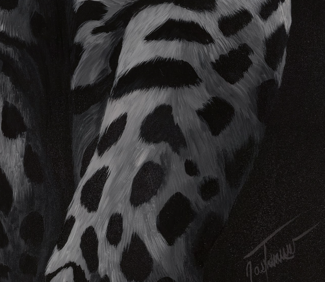 Screenshot 2026-01-14 at 11.13.53 AM.png