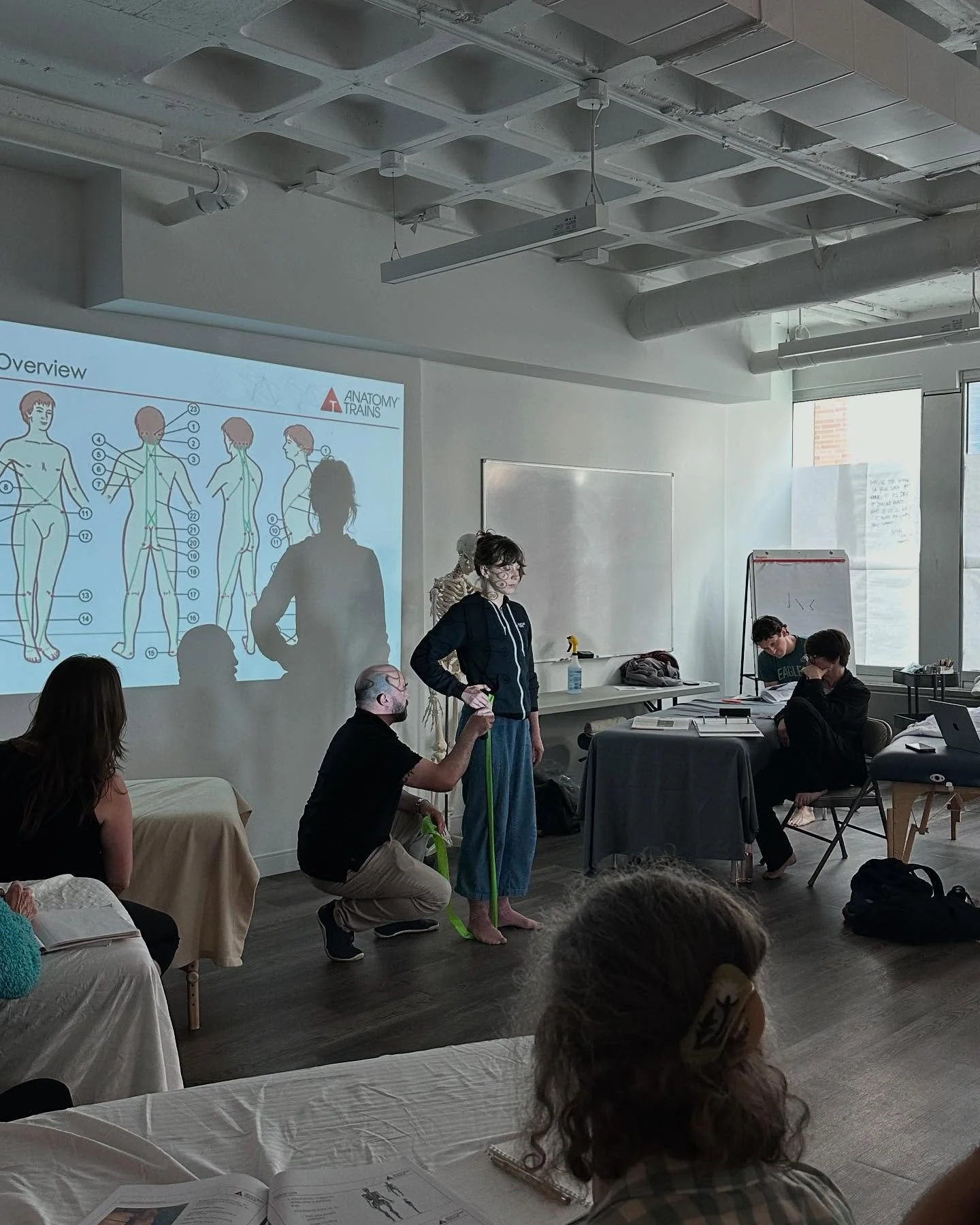 So much fun assisting Anatomy Trains in Structure and Function in Silver Spring, Maryland this weekend!

It was an honor to be in the classroom with Debbie and Andrew as we shared the concepts of myofascial meridians and helped the students think abo