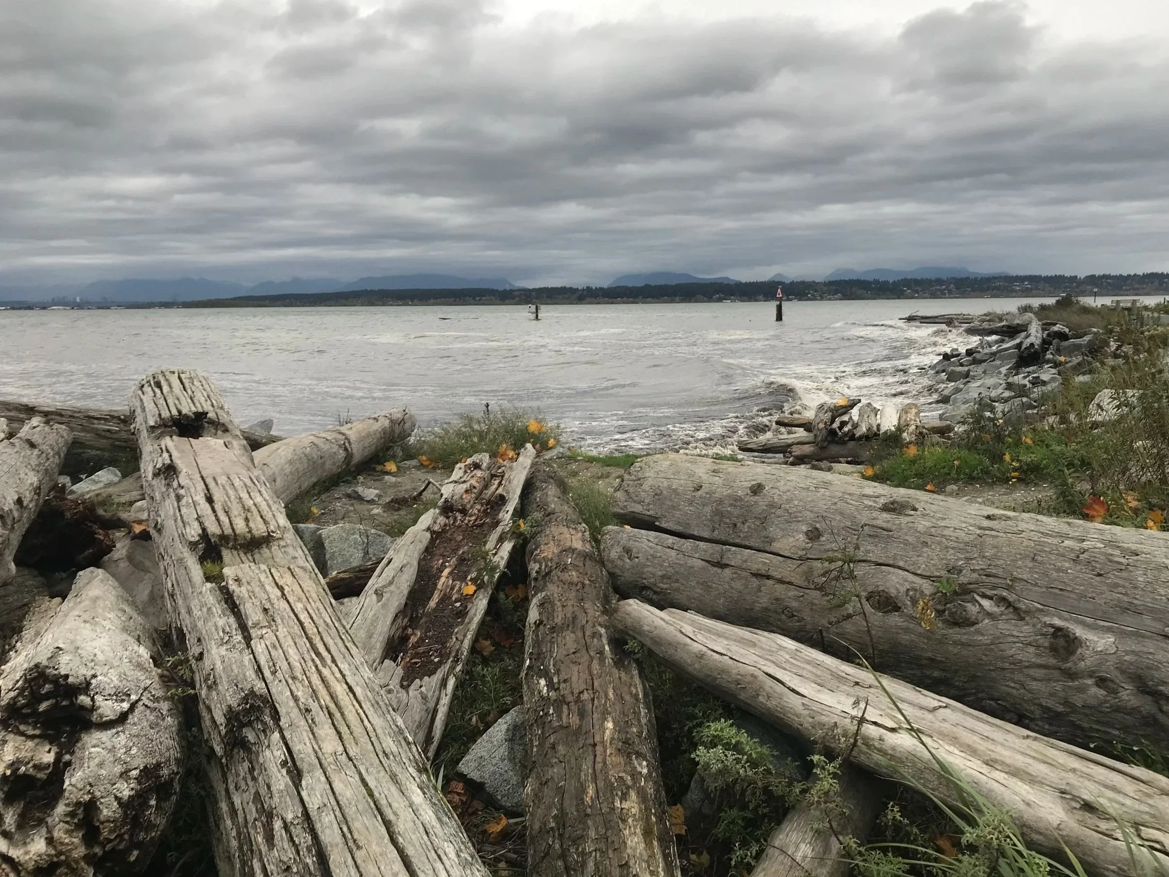 Photo by Zbitniff, logs by the ocean
