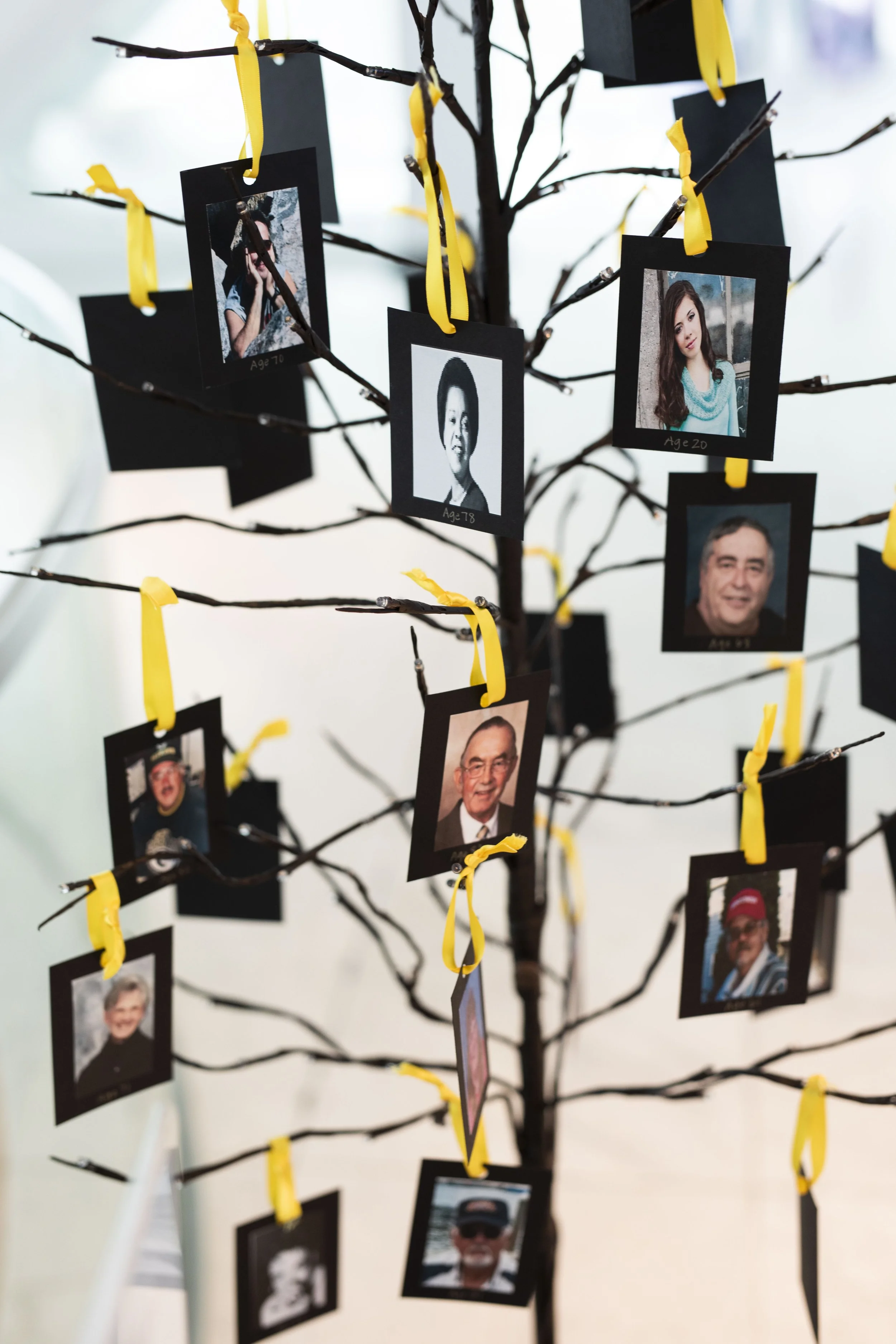 A display tree with photographs of various people, each with an age label, hanging with yellow ribbons.