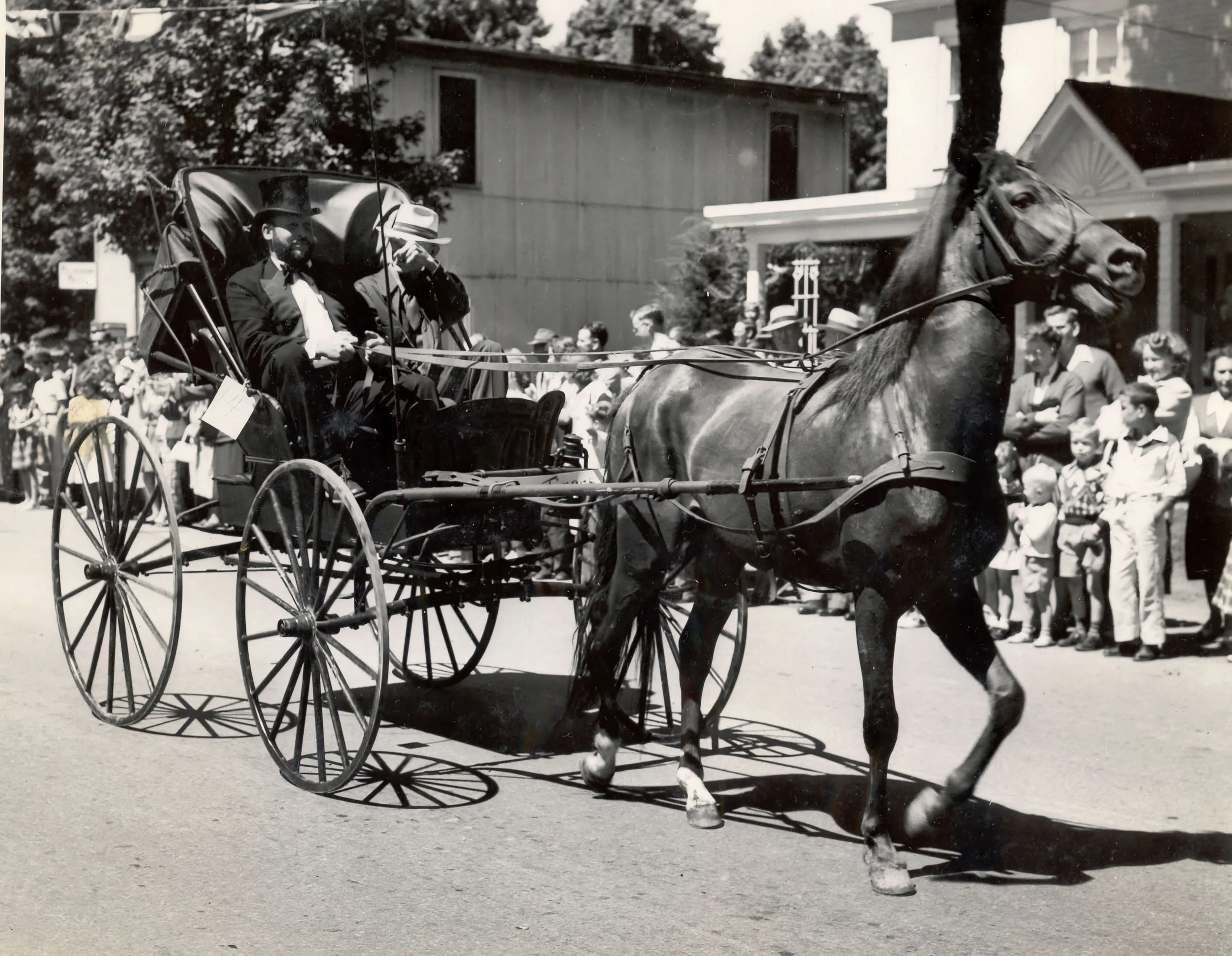 Venango Centennial buggy_upscale.jpeg