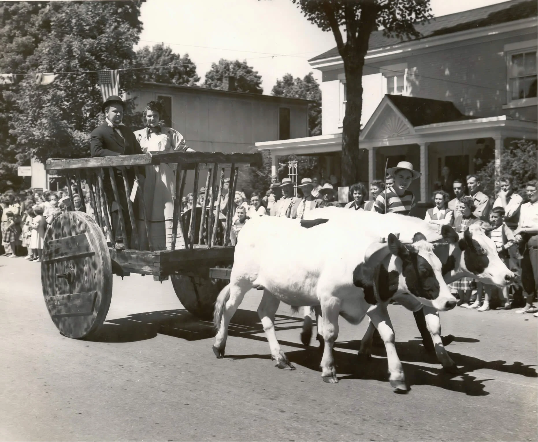 Venango Centennial 1952 Oxen_upscale.jpeg