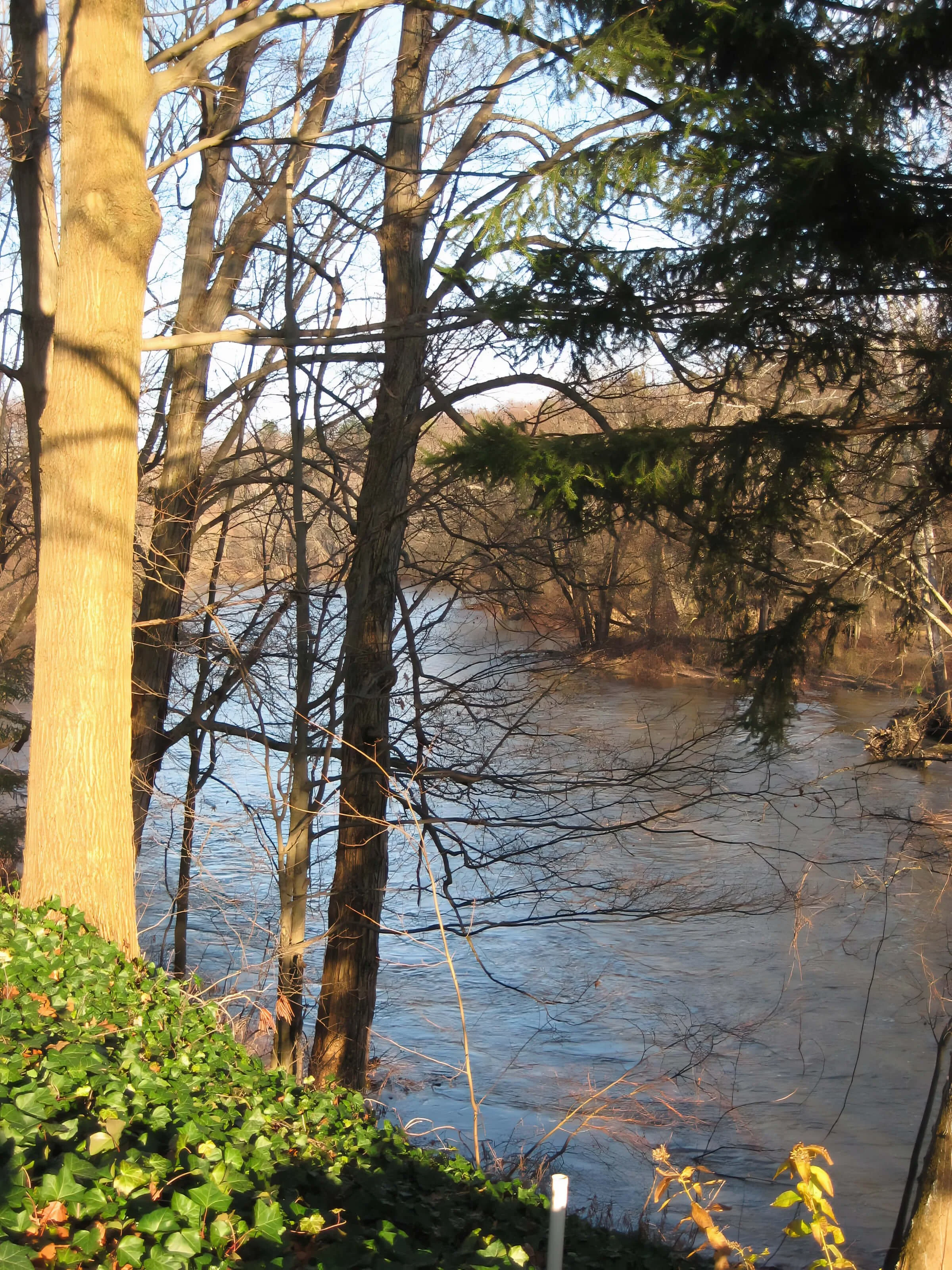 GOOD VIEW OF CREEK_upscale.jpeg