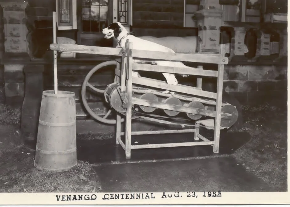 VENANGO CENTENNIAL-DOG_upscale.jpeg