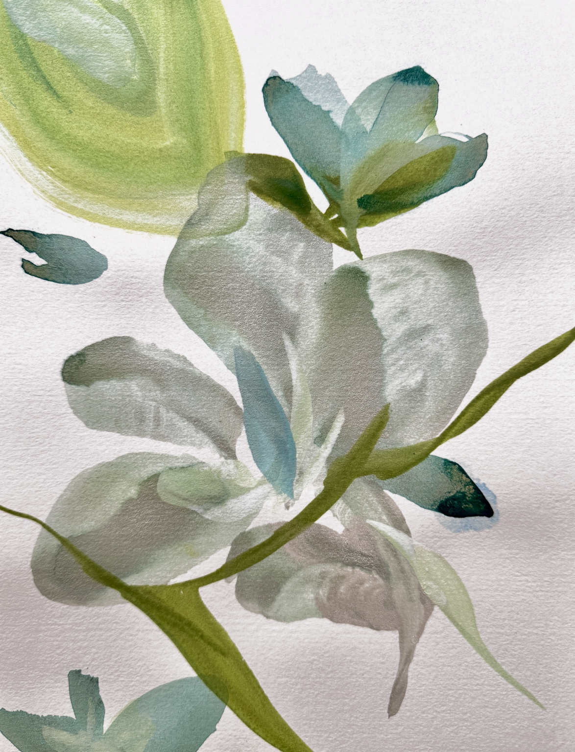Of Light and Time No.12
12 x 9 in.
Painting on Paper
©2025 Jennifer J.L.Jones
Available at Jennifer J.L.Jones Fine Art, Beaufort, S.C. U.S.