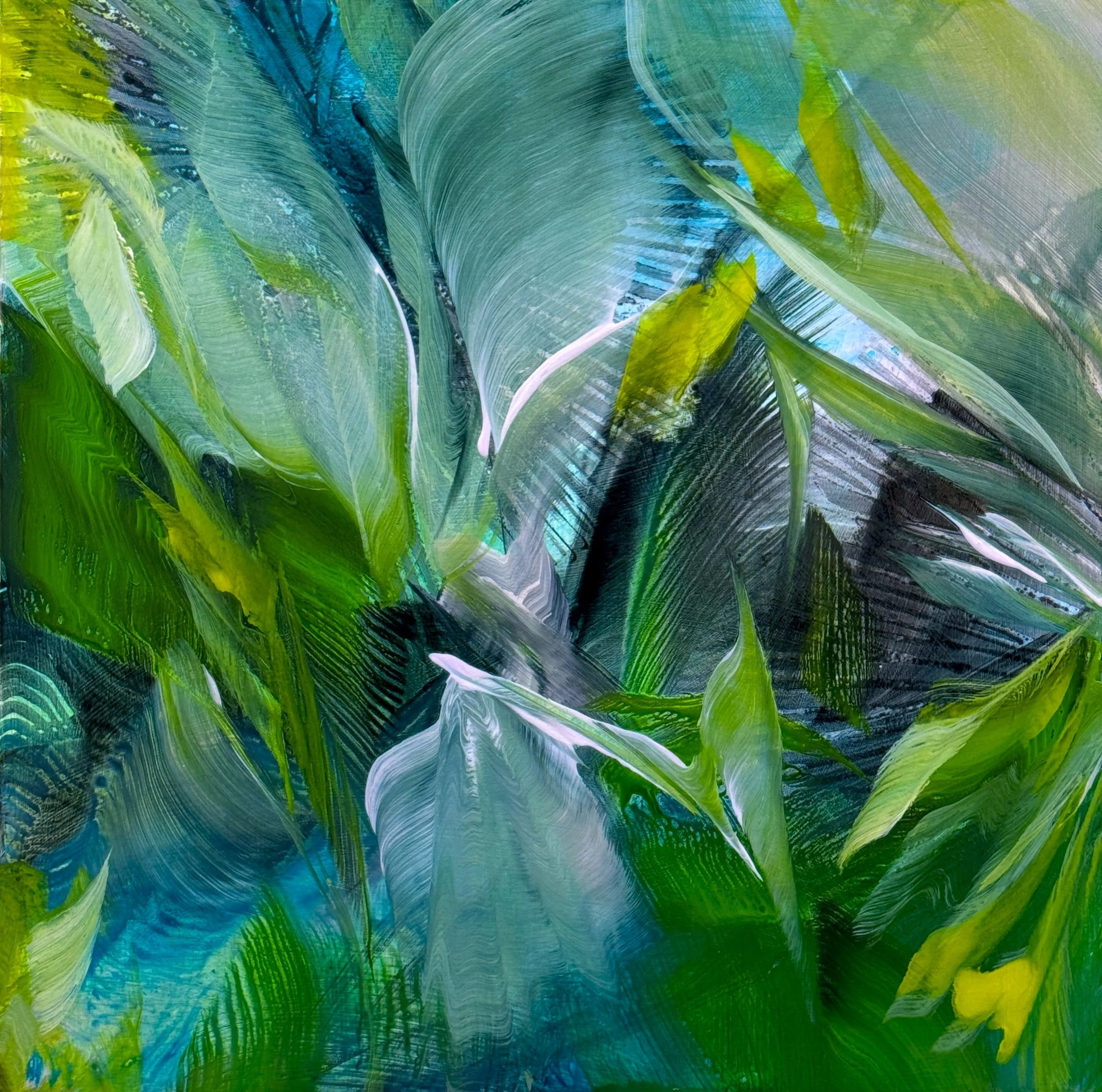 Thrum No.2
24h x 24w in. 
Painting on baltic birch wood panel
©2026 Jennifer J. L. Jones
Available at New River Fine Art, Ft. Lauderdale FL, U.S.