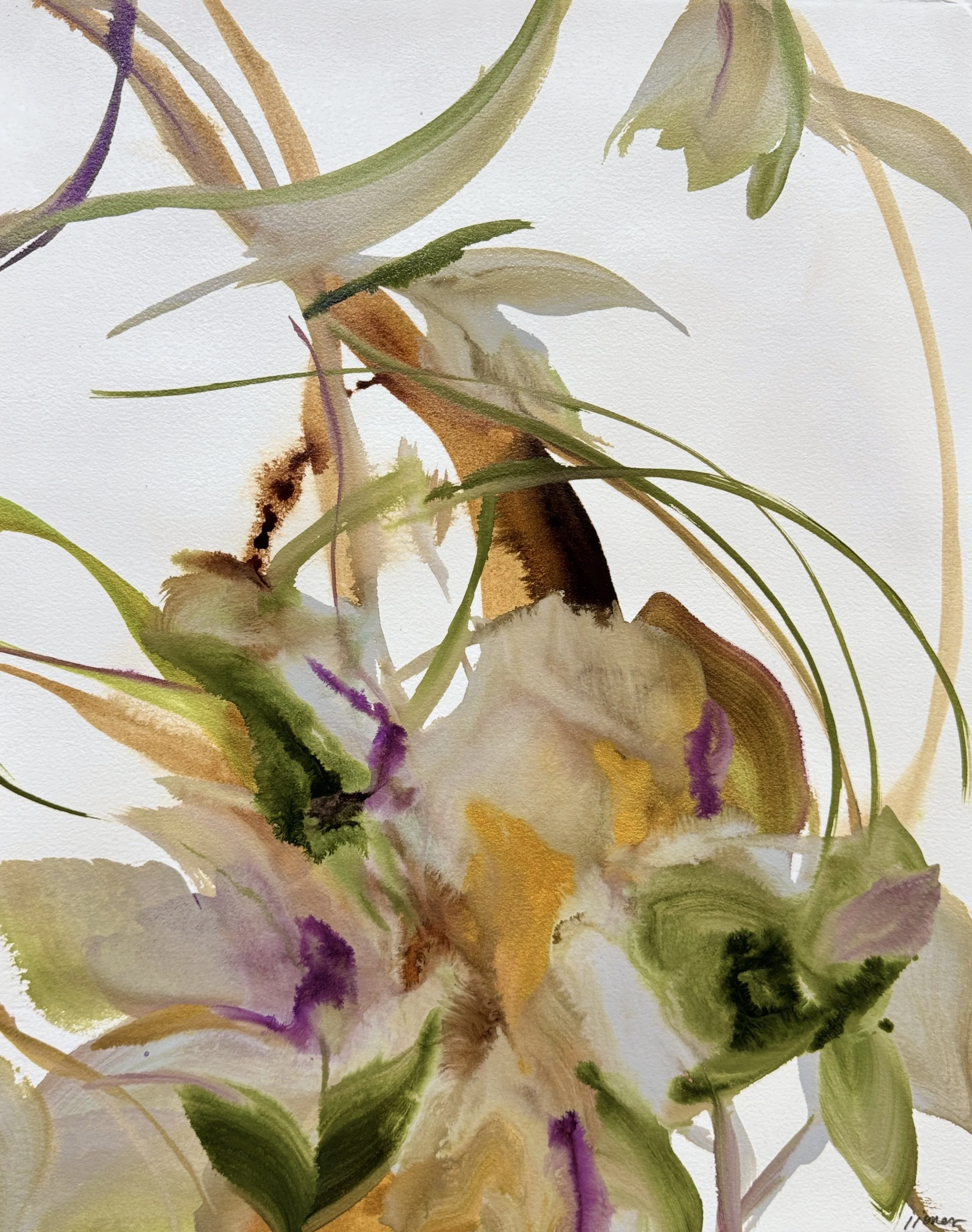 Matador No. 1
20.5 h x 16 w in.
Acrylic & Ink painting on paper
©2025 Jennifer J. L. Jones
Available at Gallery 1871, Chicago, IL