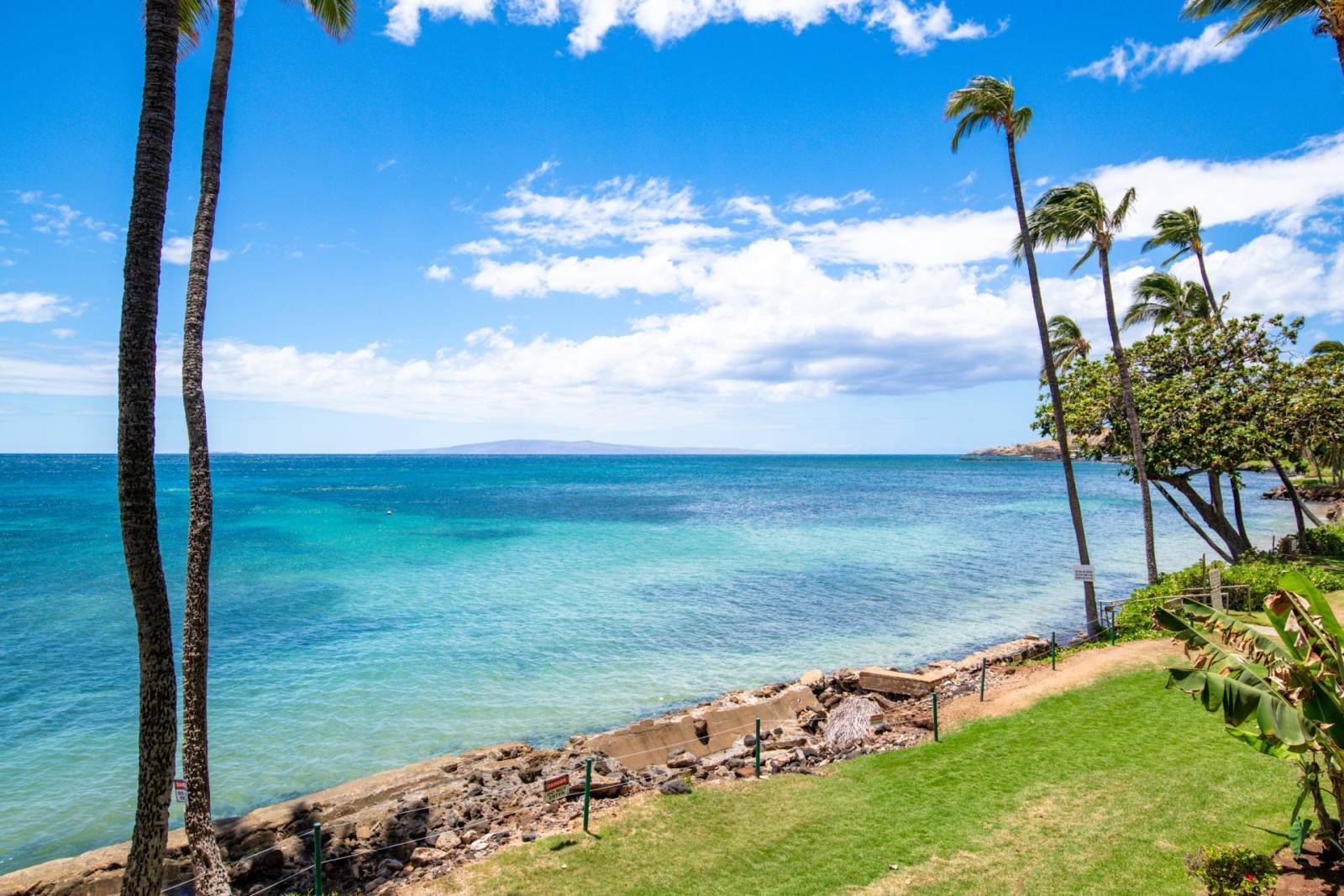 Tropical beach scene with palm trees, clear blue water, and a partly cloudy sky.