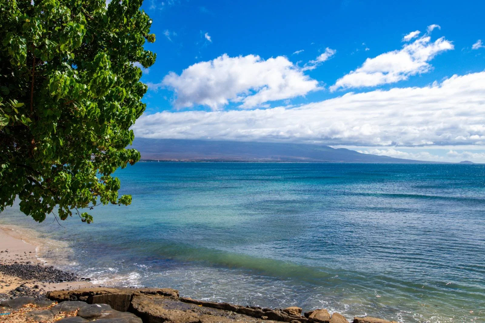 A peaceful beach scene with a large green tree on the left, a sandy shoreline, and clear blue water. In the background, there are mountains and a partly cloudy sky.