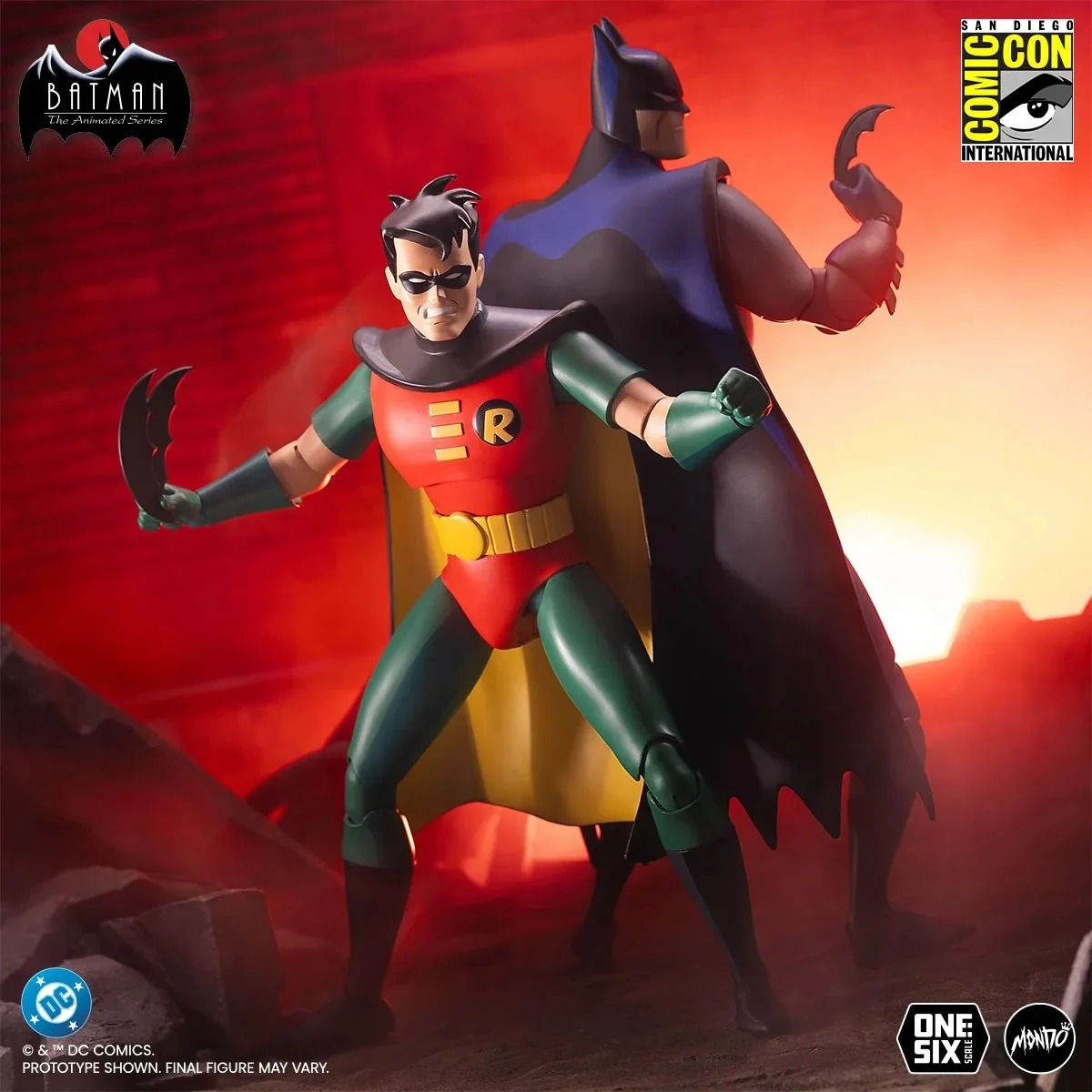 Robin 3.jpeg