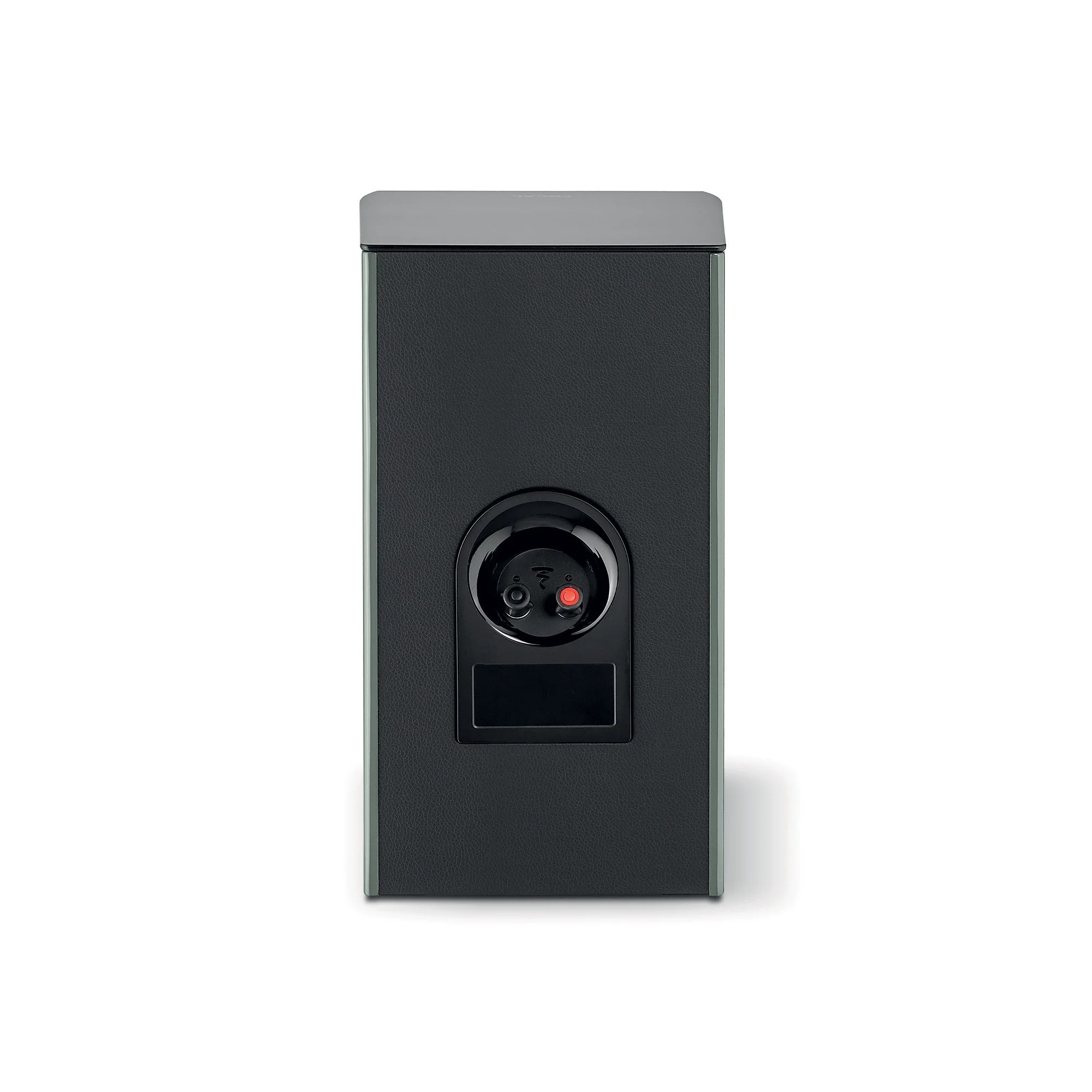 ARIA EVO X N°1 Moss Green HG 4.jpg